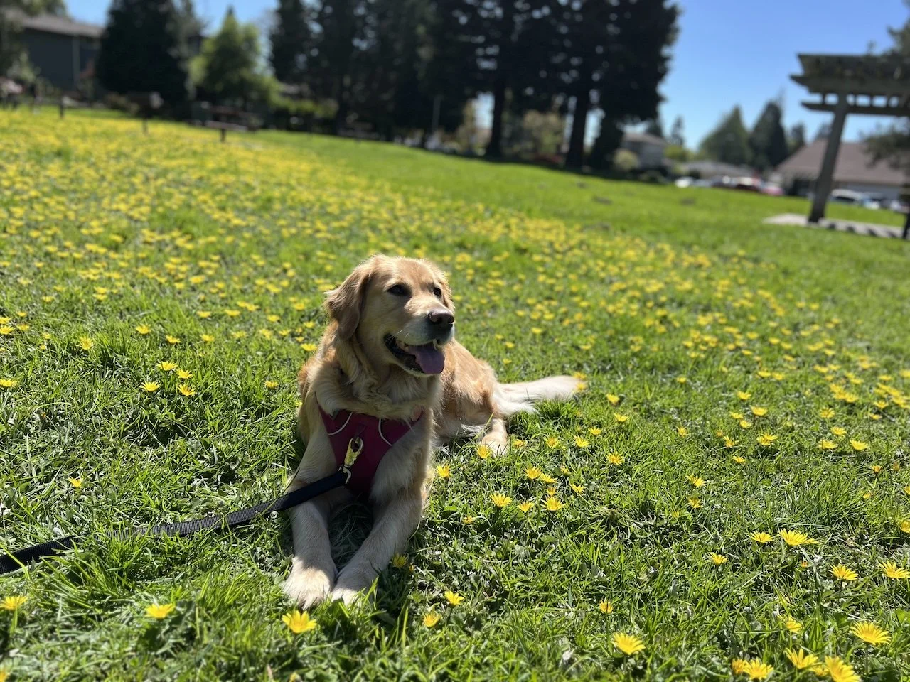 Spring Newsletter 2024