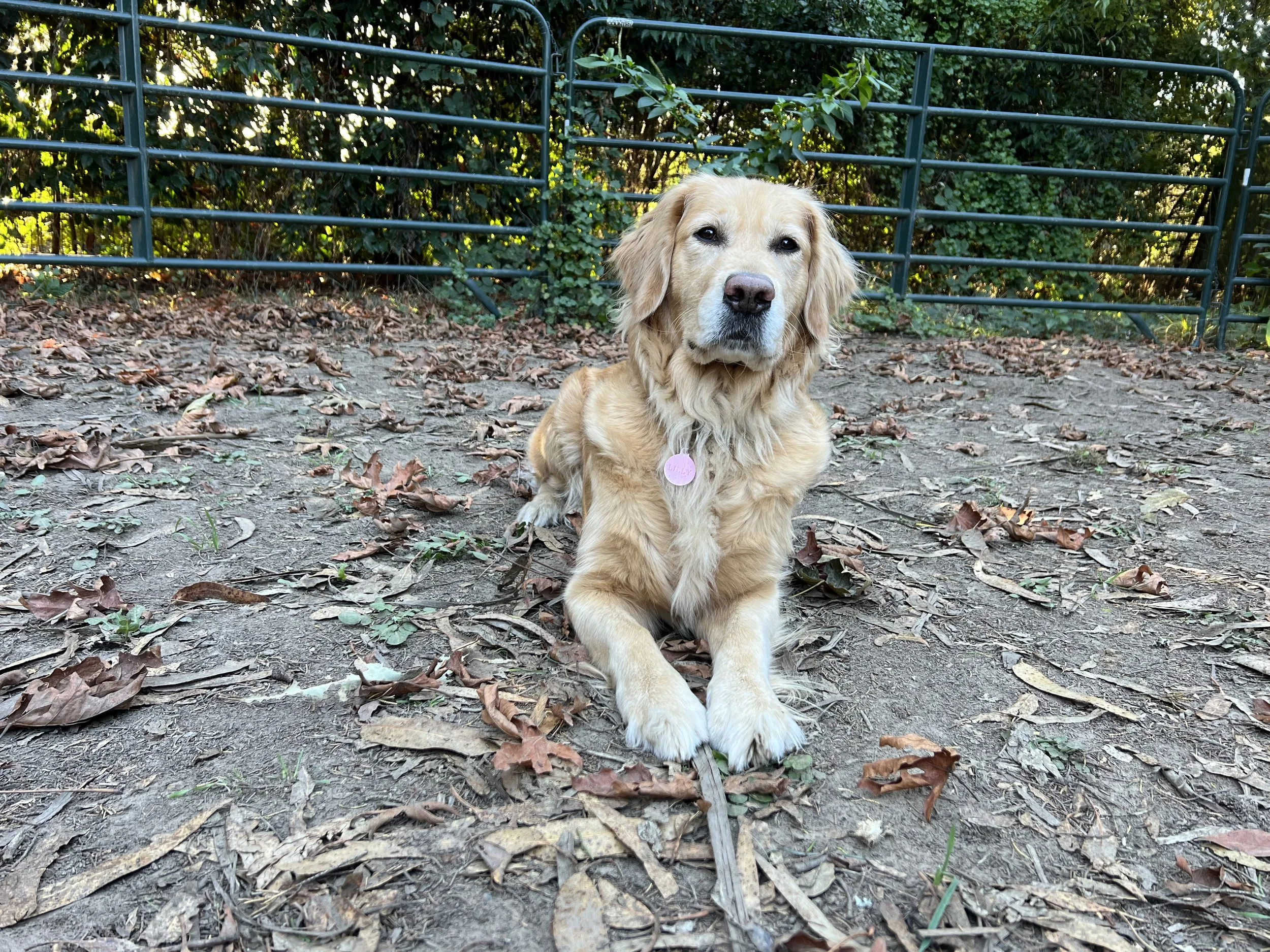 Fall Newsletter 2024