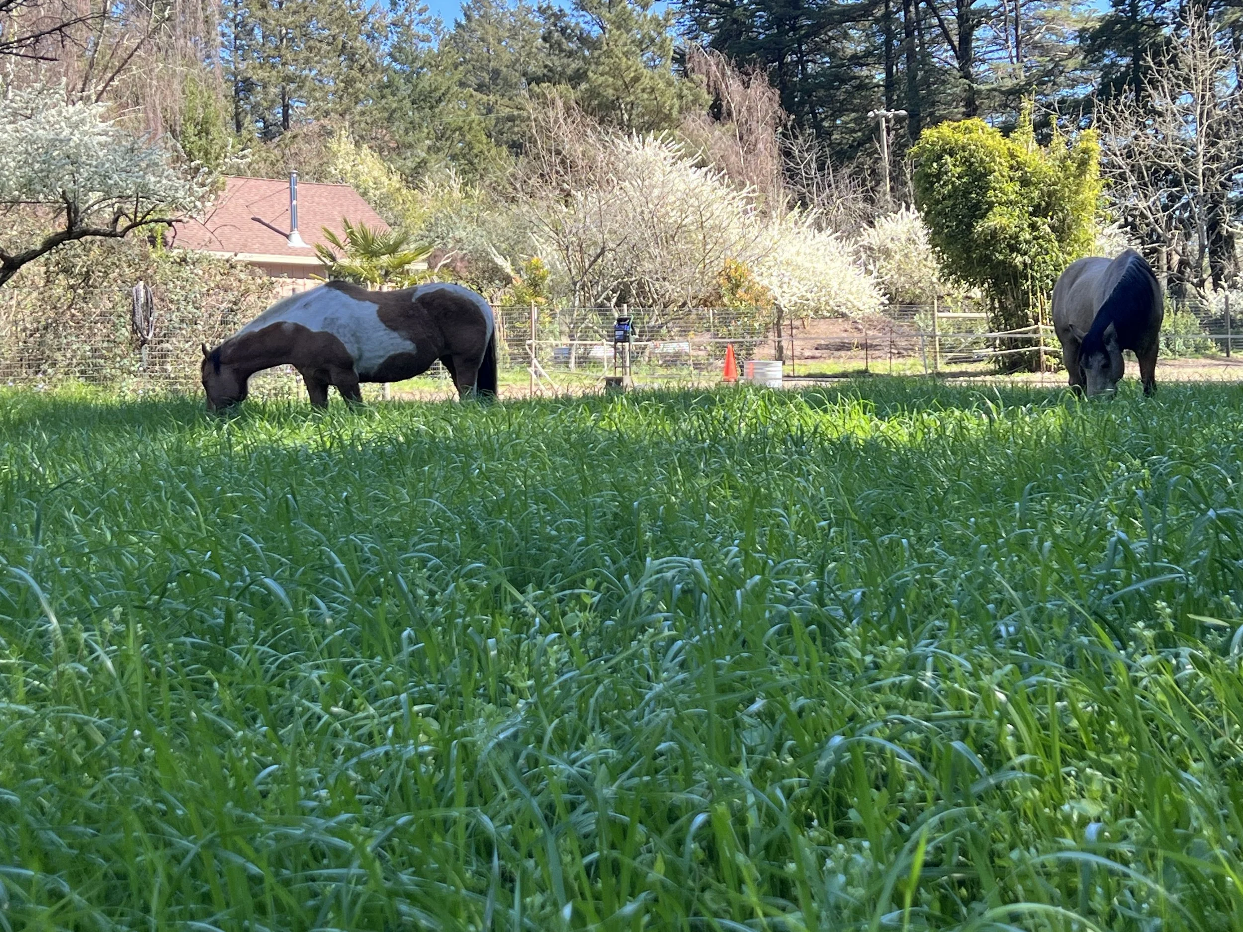 Spring Newsletter 2025