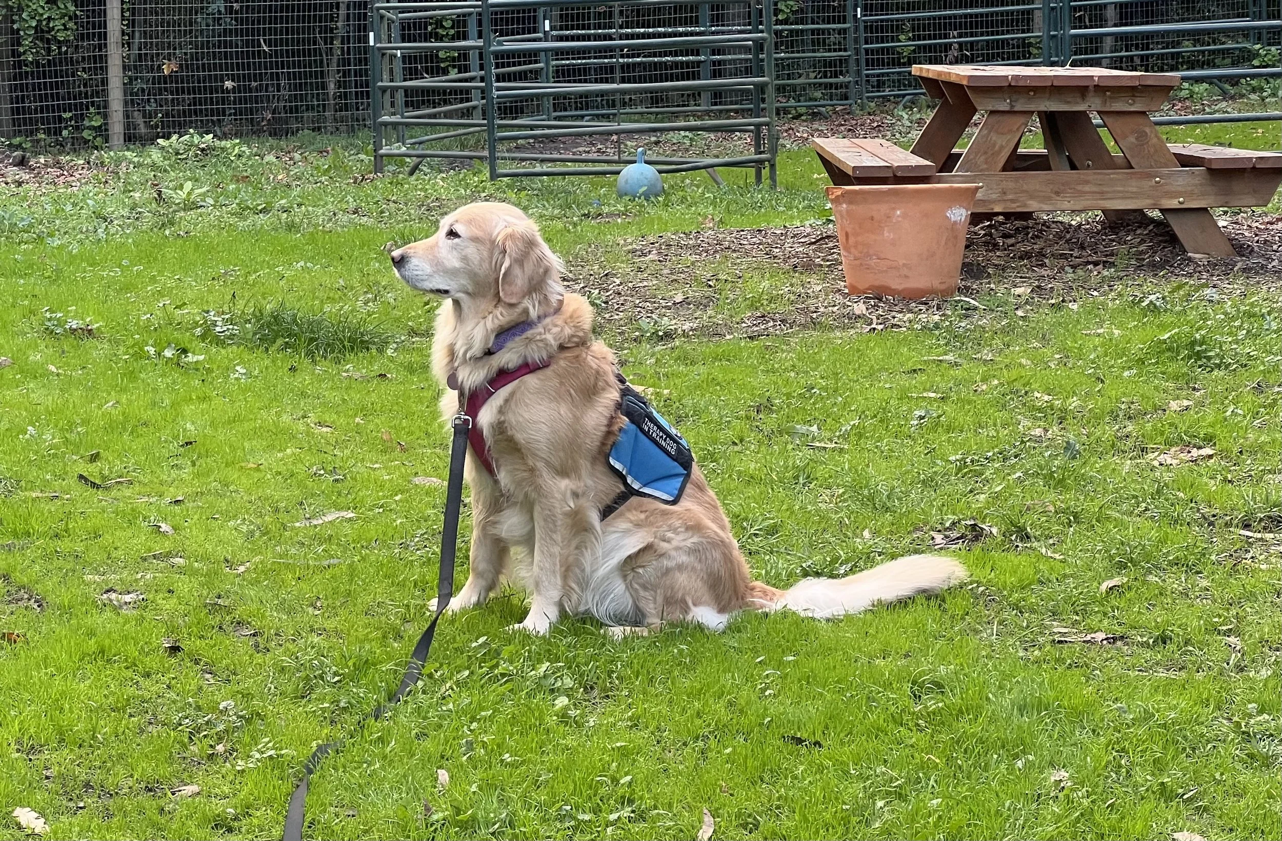 Fall Newsletter 2025