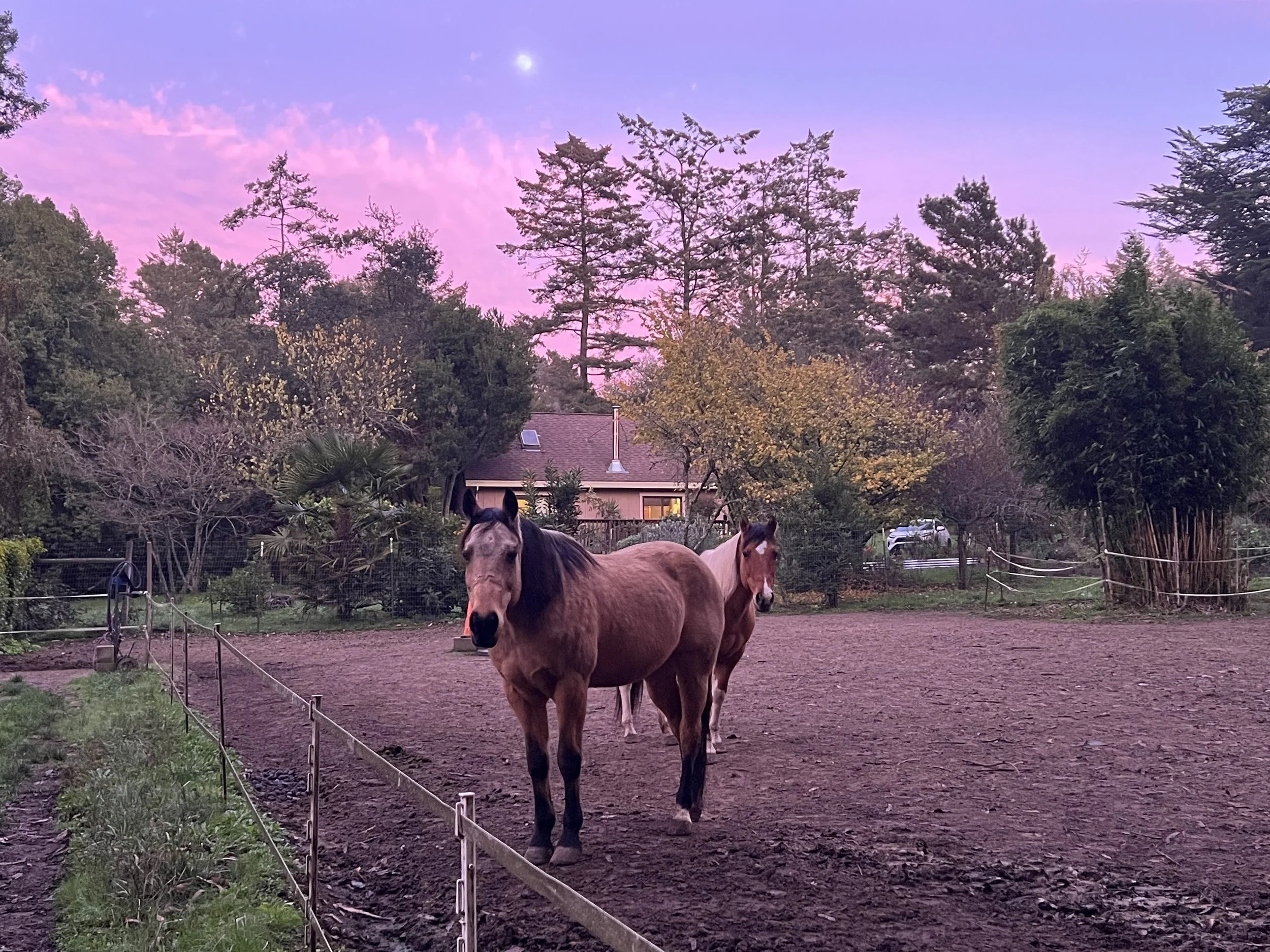 Winter Newsletter 2025-2026