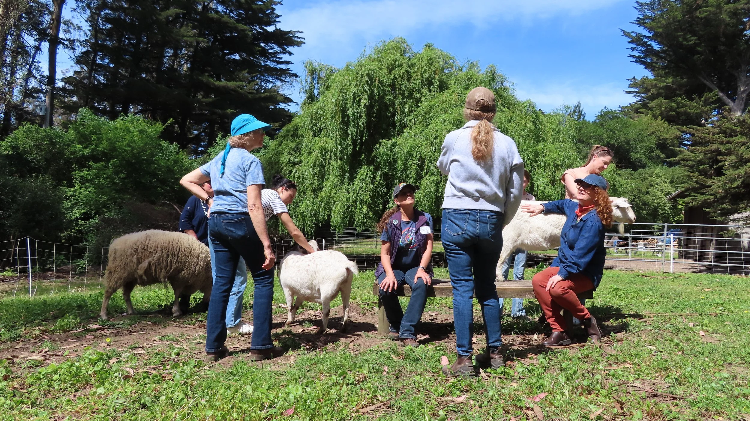 Spring Newsletter 2026