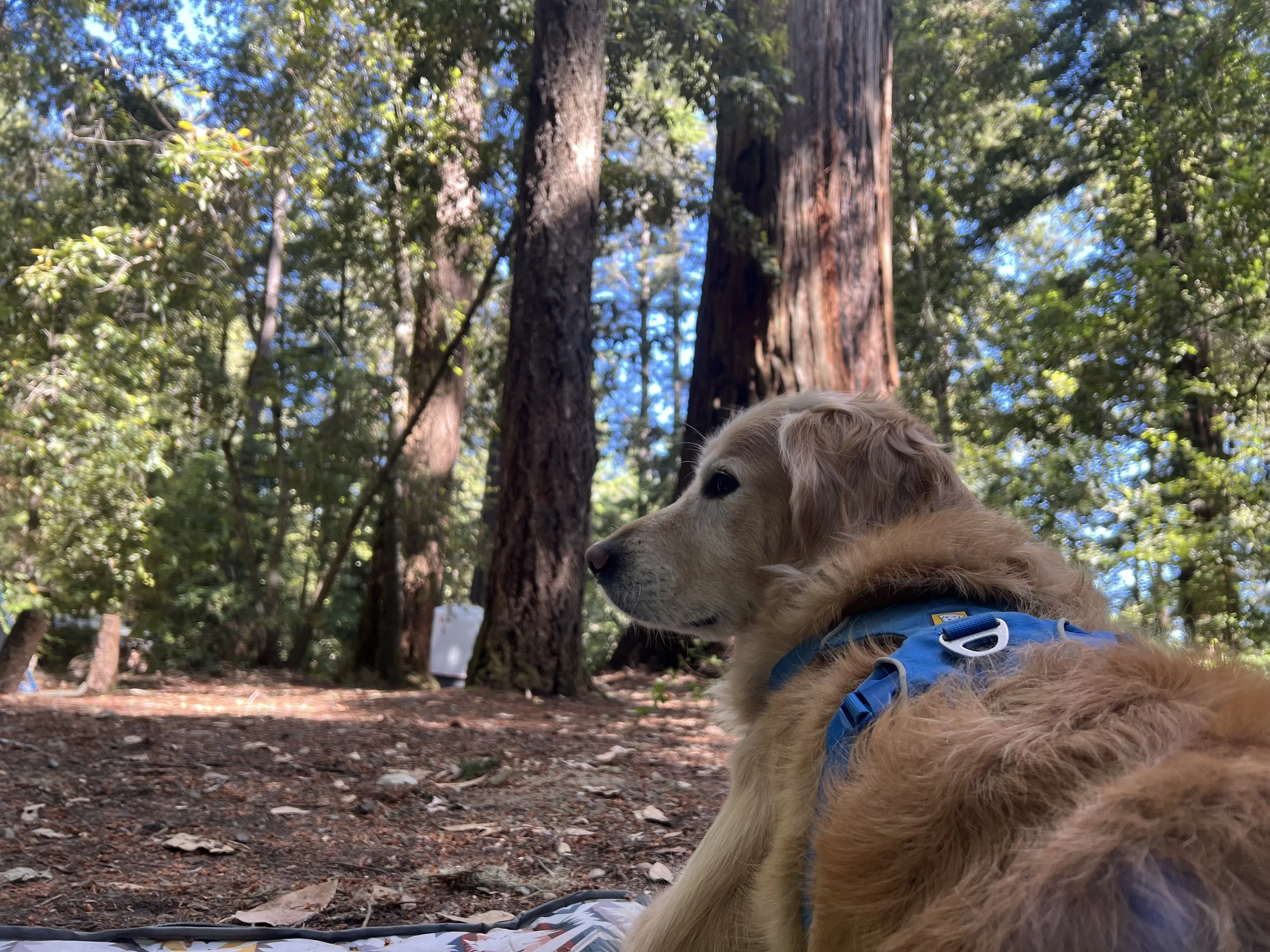 Summer Newsletter 2026