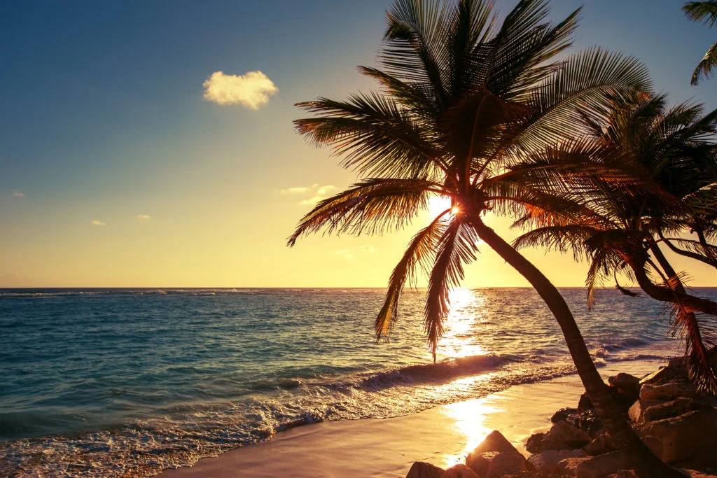 Stock-Beach-Photo-1024x683.jpeg