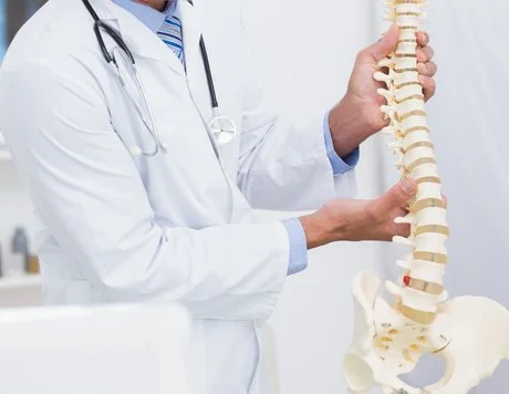 spine image.jpg