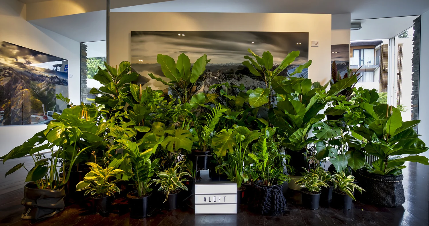Queenstown_Plant_Hire3.jpg