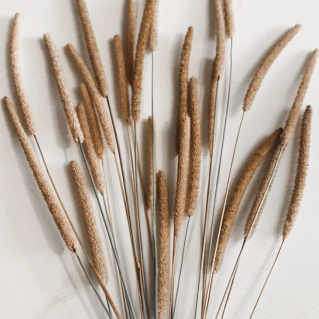 We love and forage almost anything that can be dried 🤩 its become a slight obsession 🤣 these wee grasses are just 👌