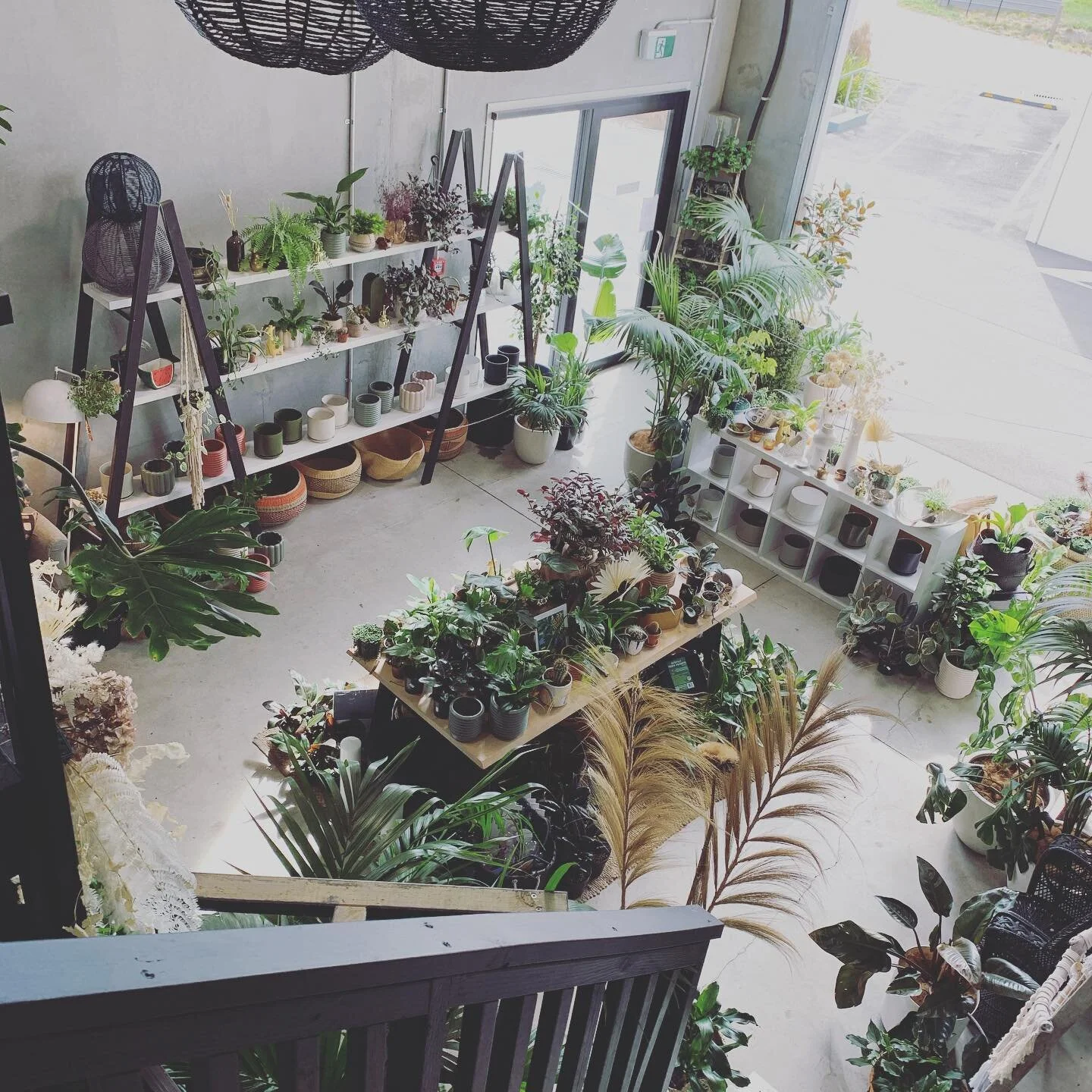 Happy Friday 🙌 beautiful sunny day in Queenstown today! See you all at the Shotover night market tonight! ❤️TBB

#theborrowedbotanicals#plants#market#urbanjungle#queenstown#arrowtown#plantsmakepeoplehappy#indoorjungle