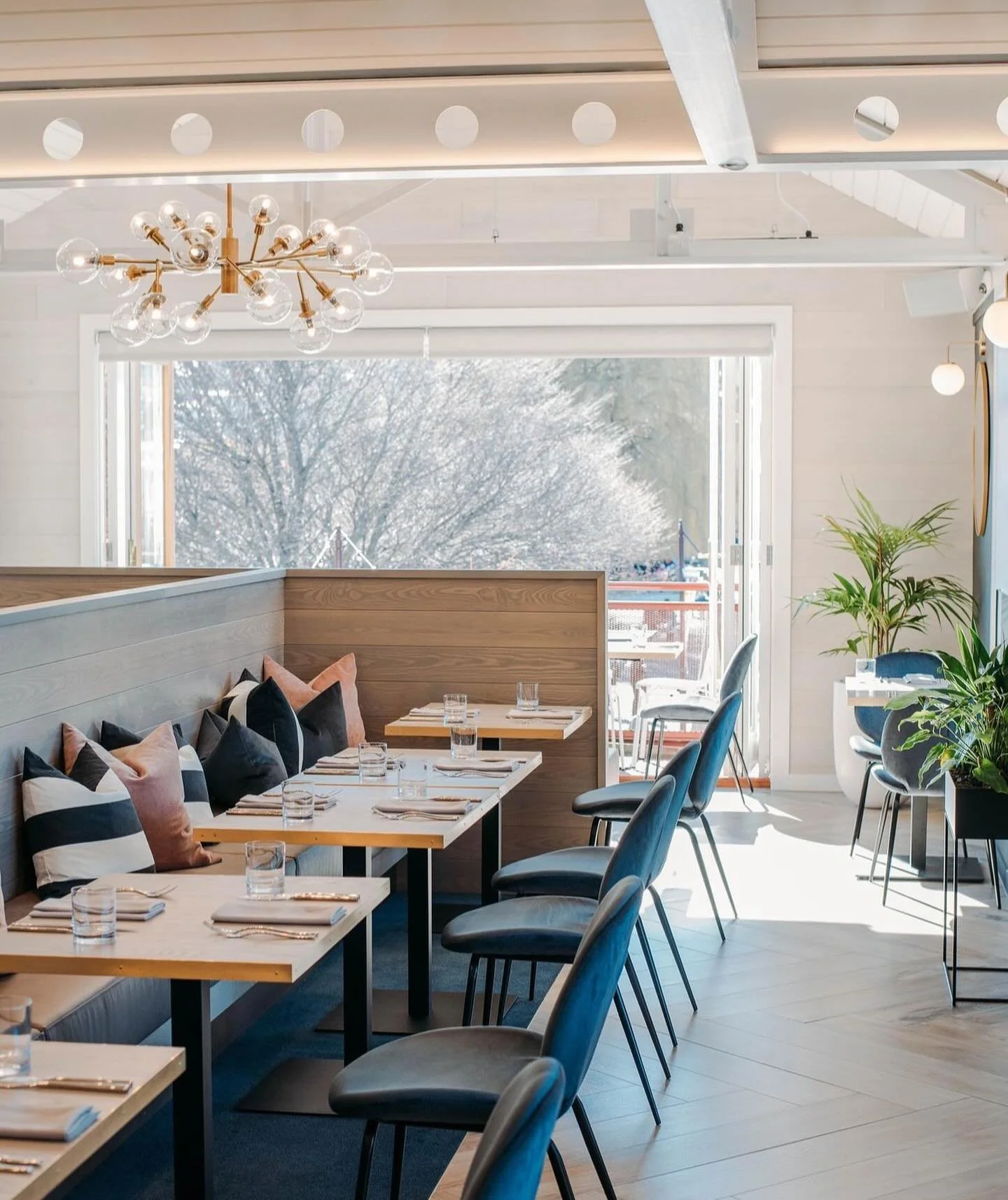 Step into the beautifully styled @boardwalkqueenstown restaurant where every corner is adorned with touches of green through lush plants. The vibrant greenery creates a refreshing and calming atmosphere, making it the perfect place to unwind and enjo