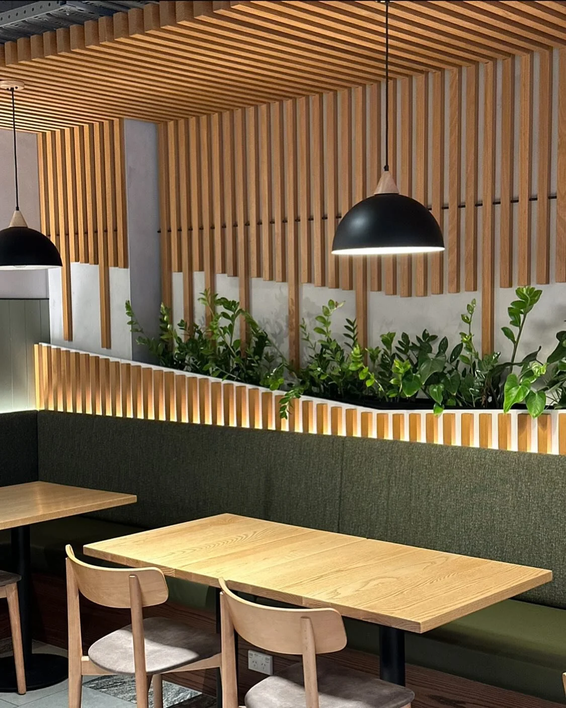 Eatspace by @skylinequeenstown have created such a lovely eatery. Natural wood finishes with pops of green always works! 

#theborrowedbotanicals#planthirequeenstown#indoorplantdecor#plantsqueenstown#queenstown#interiorplants#indoorplantsofinstagram#