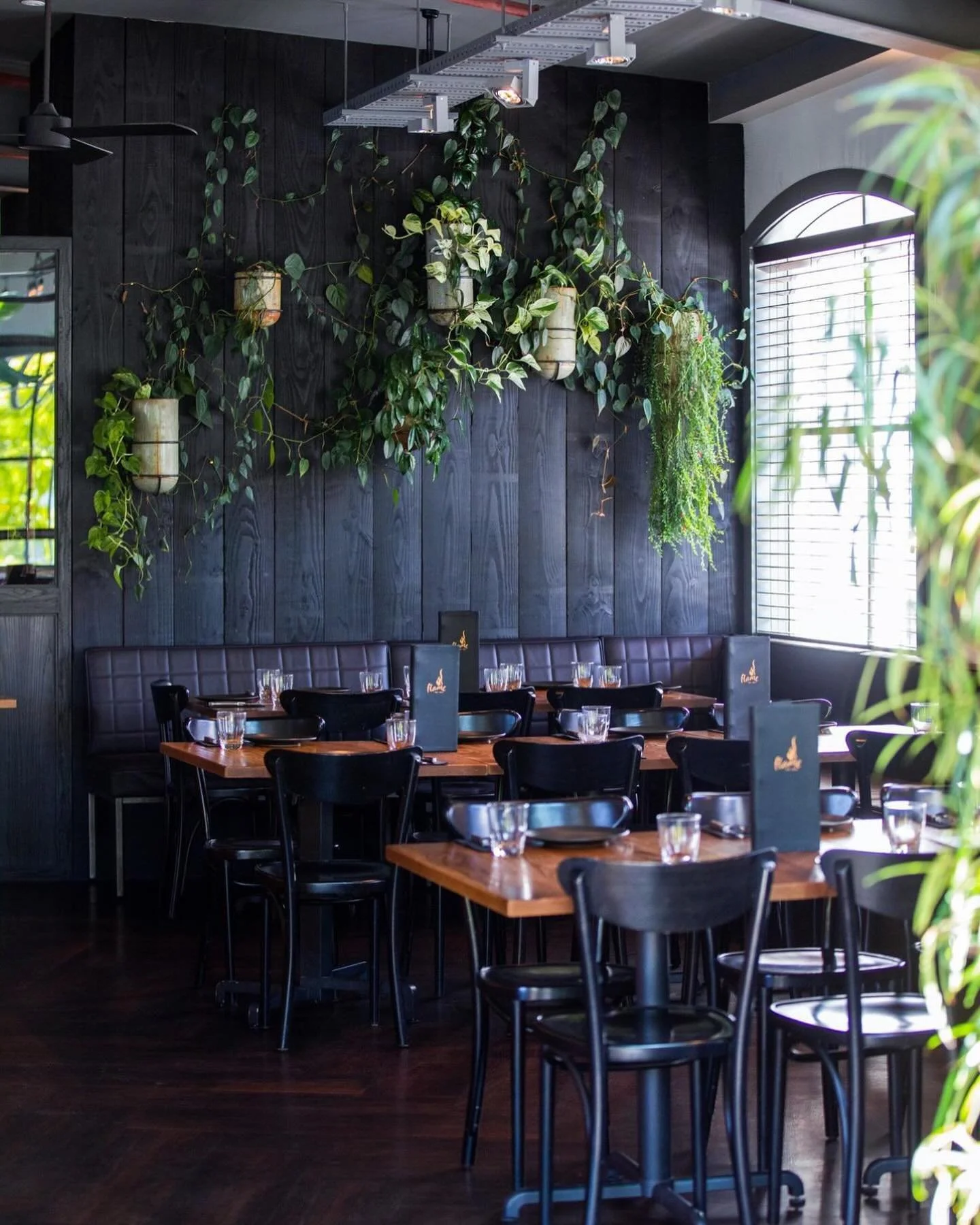 Long term plant hire and maintenance @flamegrillqueenstown. If this is something you think your business needs to bring it to life then we would love to hear from you! 

#theborrowedbotanicals#queenstownindoorplants#queesntownplanthire#plants#indoorp