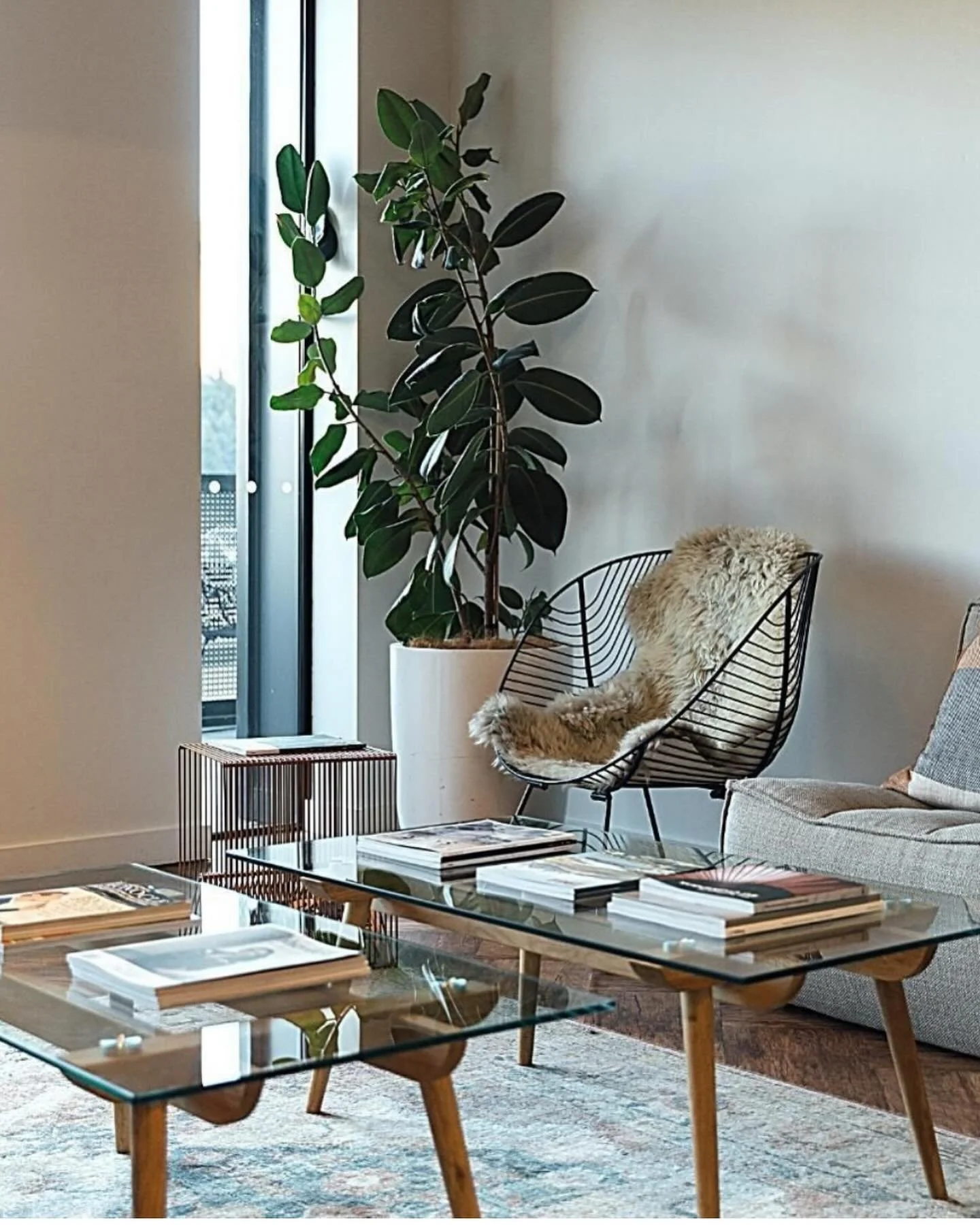 @mountainclubqt is such a 👌 spot! Our long term hire plants looking fresh!