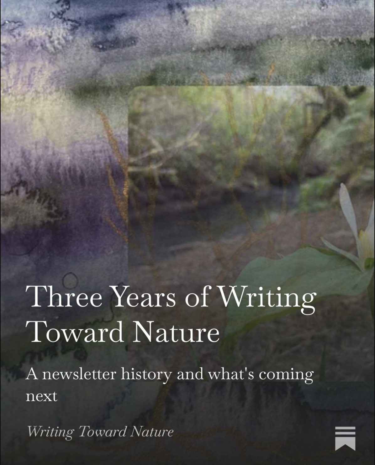 A watercolor wash beneath a photograph of a trillium withe the words "Three Years of Writing Toward Nature: A newsletter history and what's coming next"