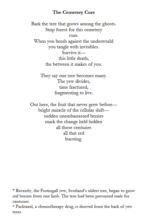a page from The Cemetery Cure by Miranda Schmidt