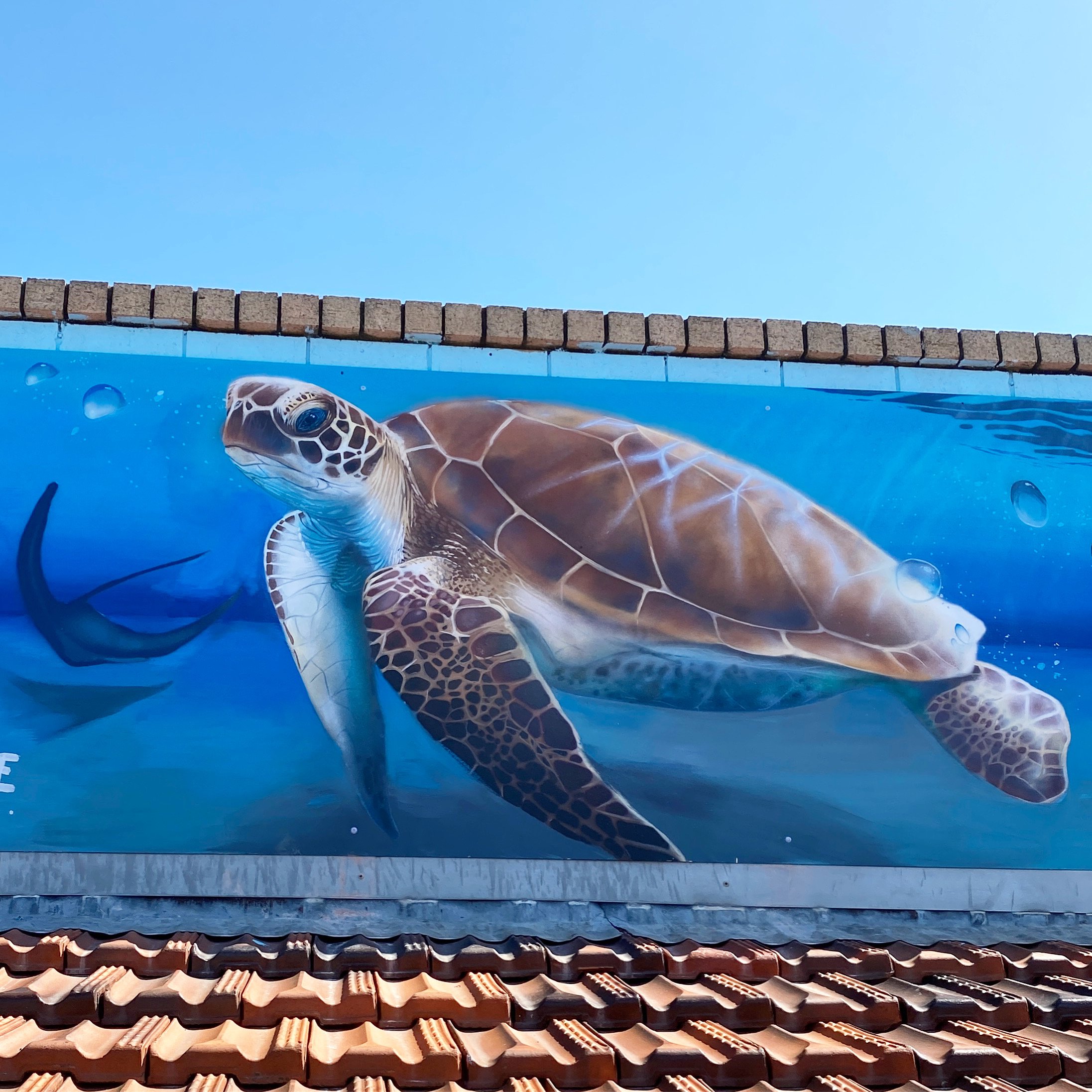 A1302ABF-3AAE-431A-8993-04EDA91DAAB4 2.JPG