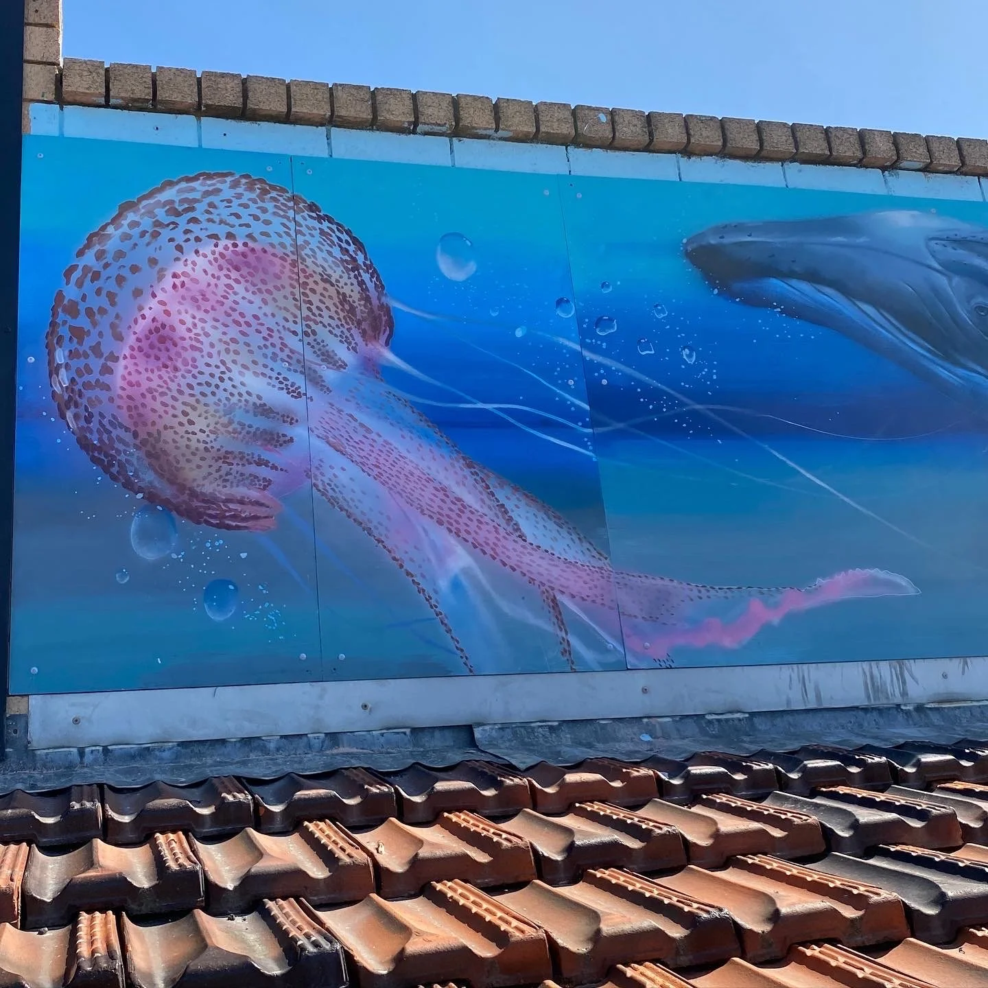 69717160-9CD1-45A8-B7C2-A916DA839475 2.JPG