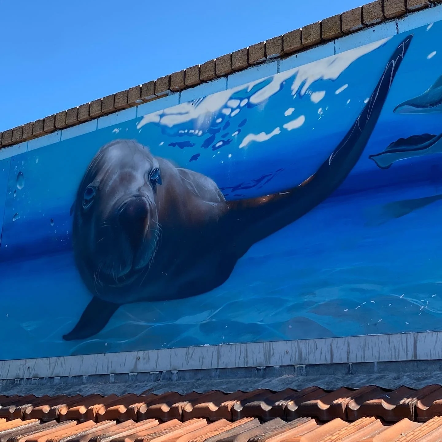 80FCD619-72A3-4BE8-BFC7-AB2E152F24D5 2.JPG