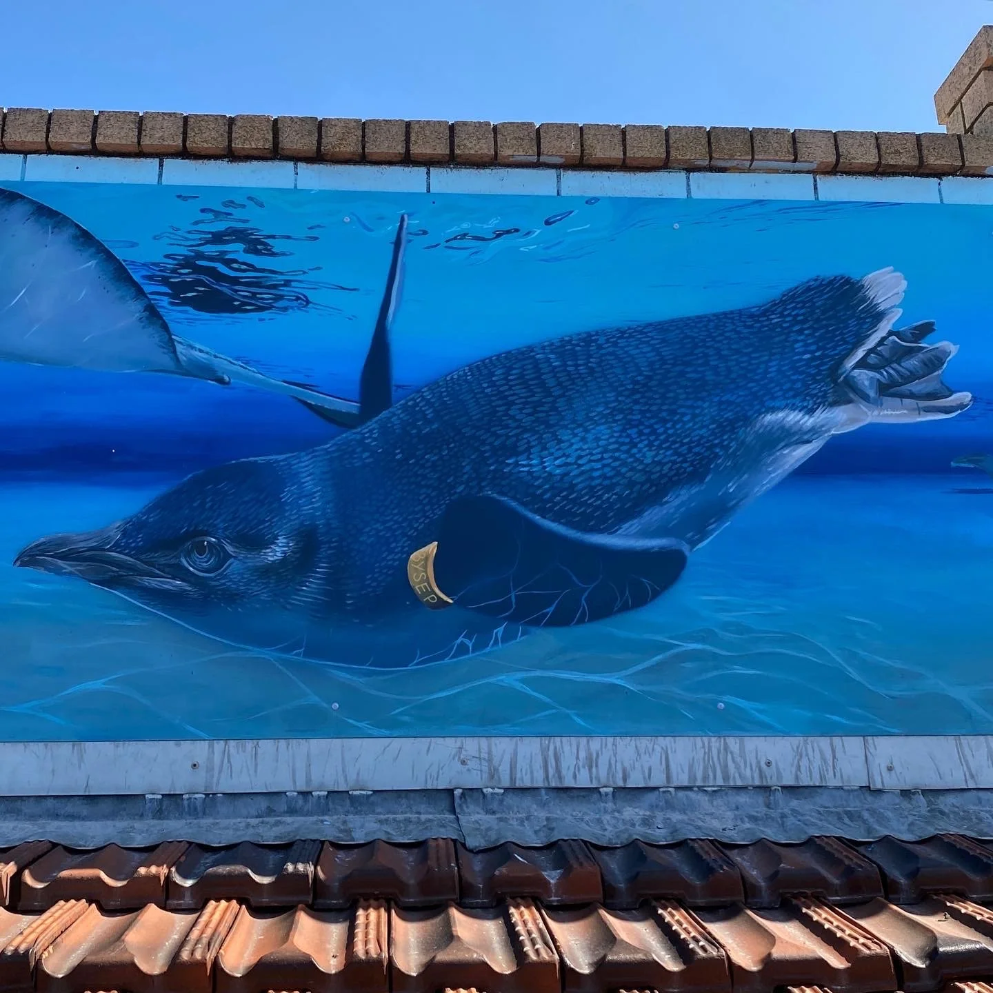 817BD7A4-979A-4E3A-AC6B-B00CFF5E9980 2.JPG