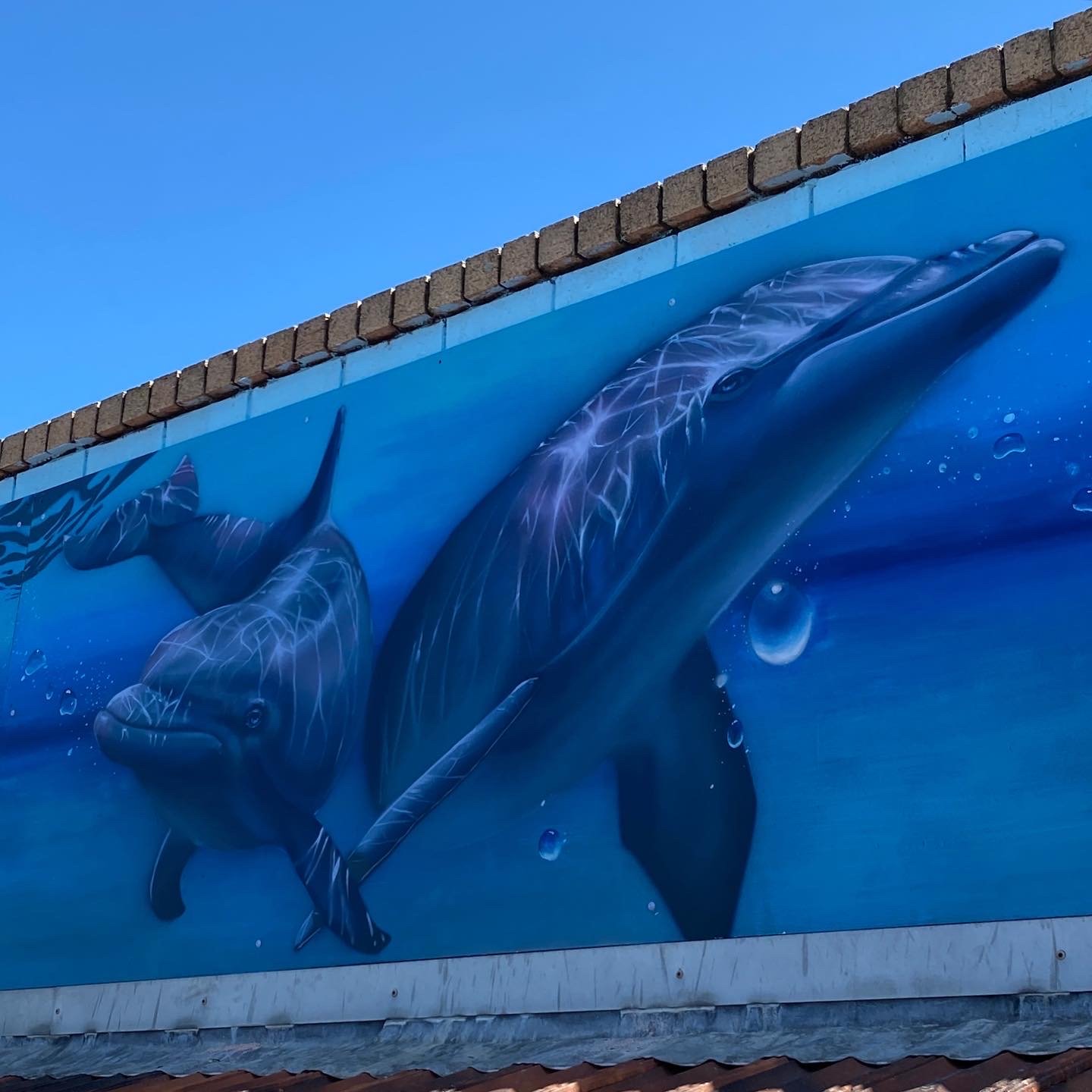 525A0038-4F6F-4B6B-95CC-CFFFDF4A3C64 2.JPG