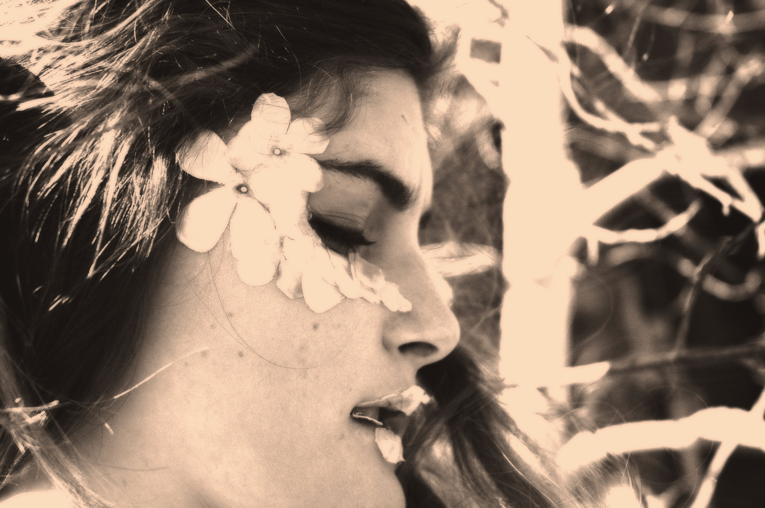 Claire-flower-no color.jpg