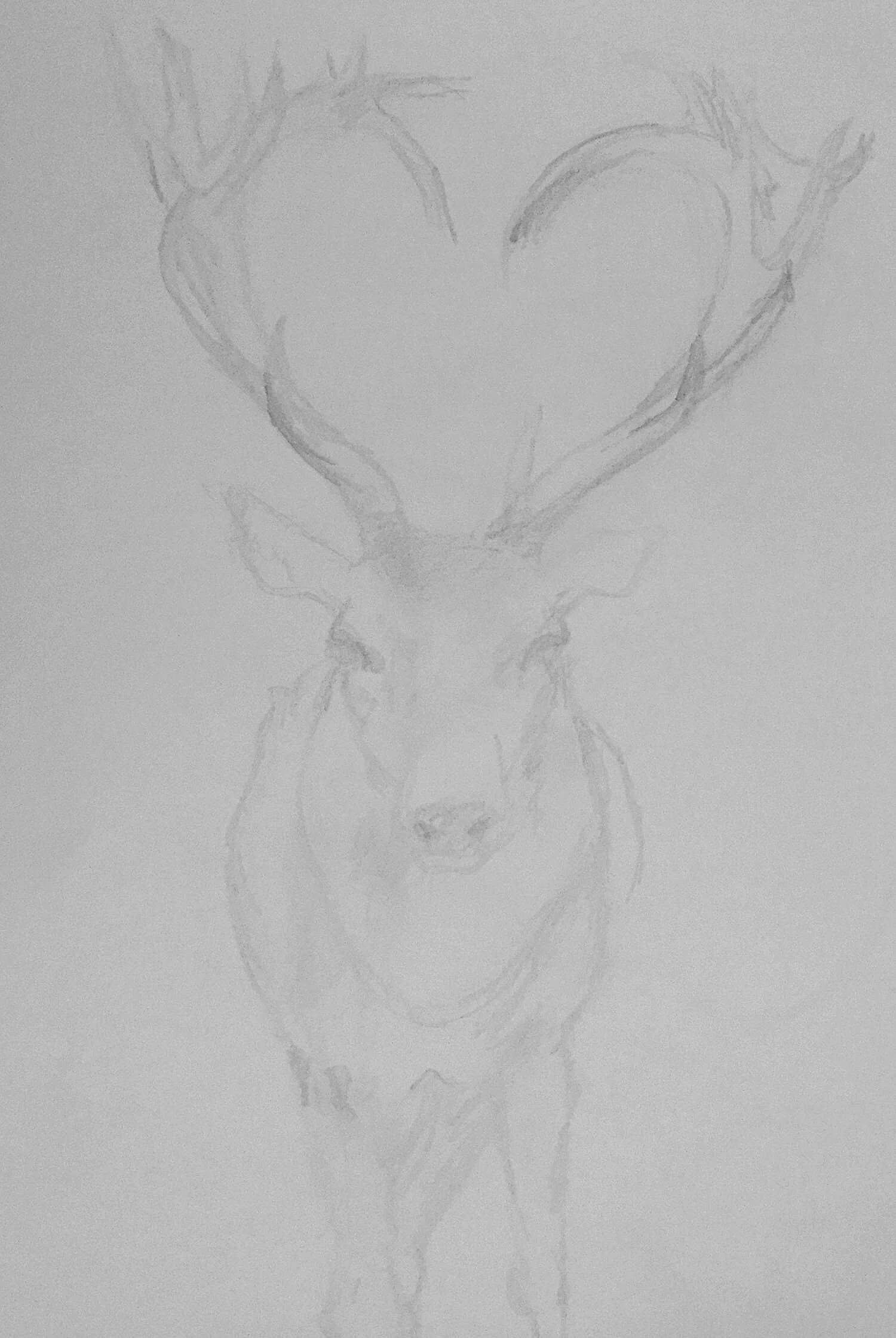 deer.jpg