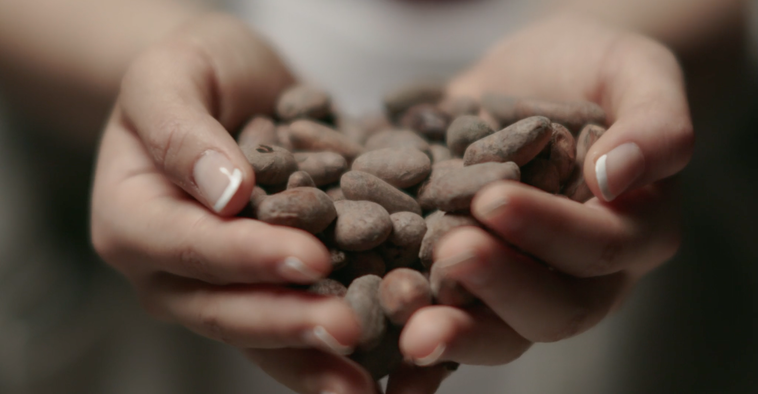 Screen Shot 2023-02-08 at 10.30.13 AM.png