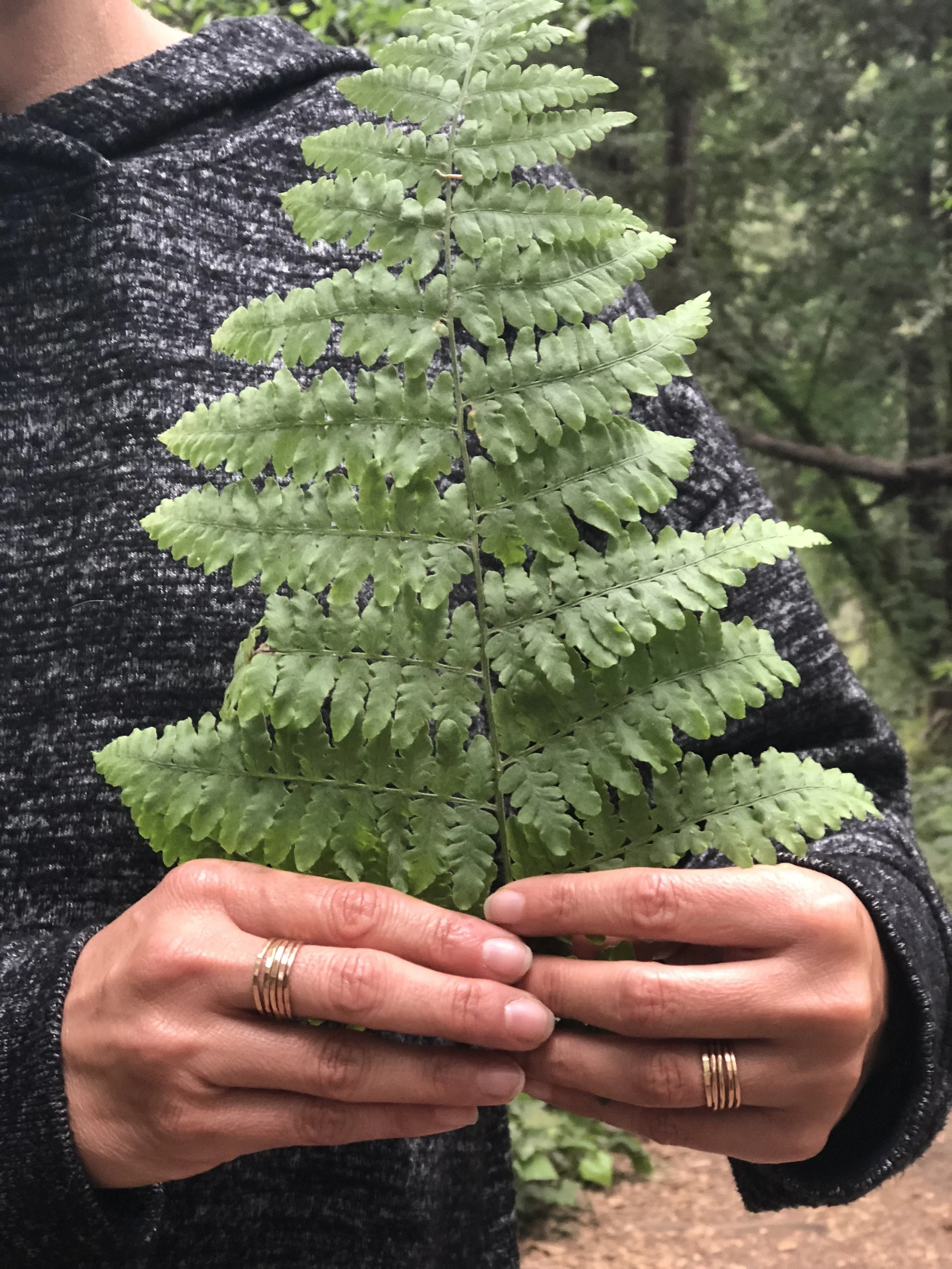 Goldie Stacker Rings