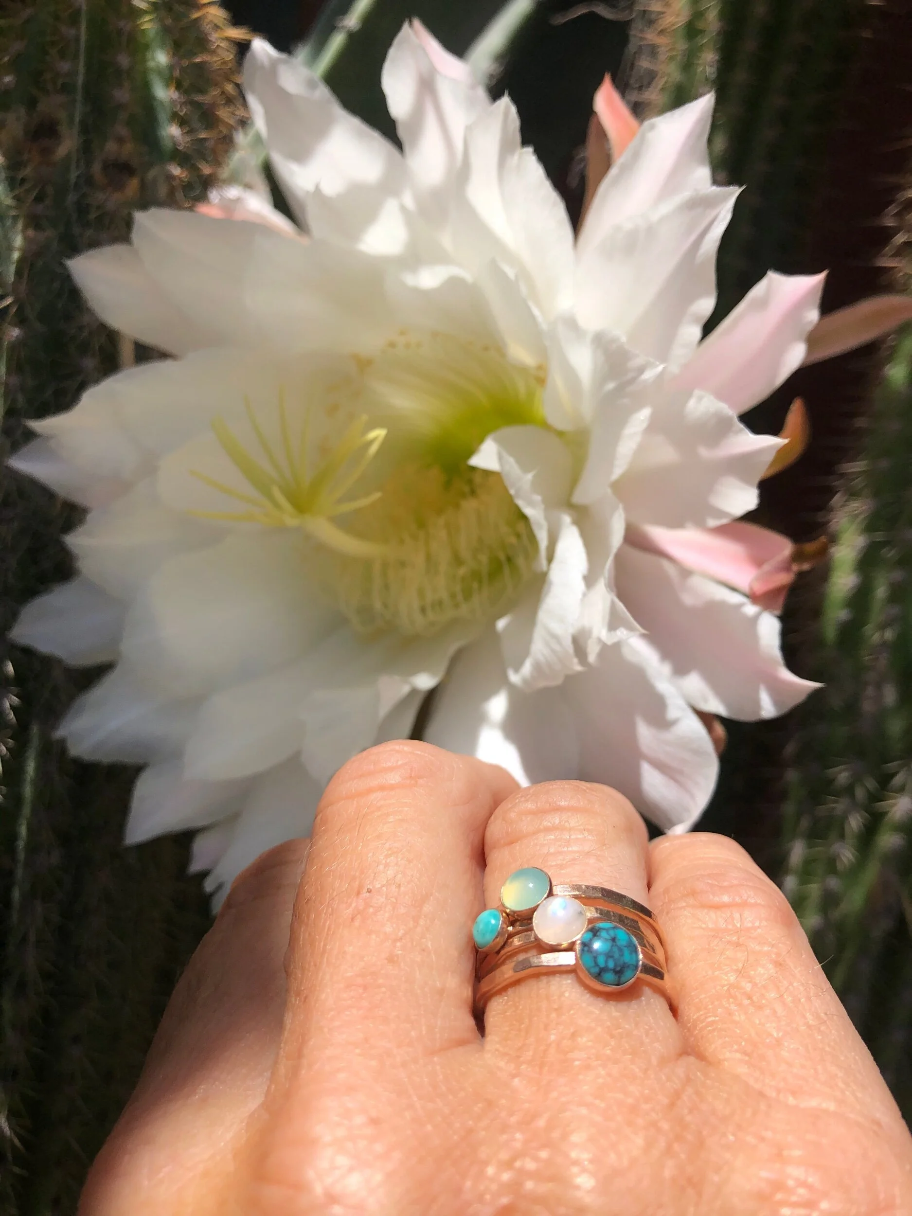 BDC7E0C9-47E3-4315-AF42-C34543868E82