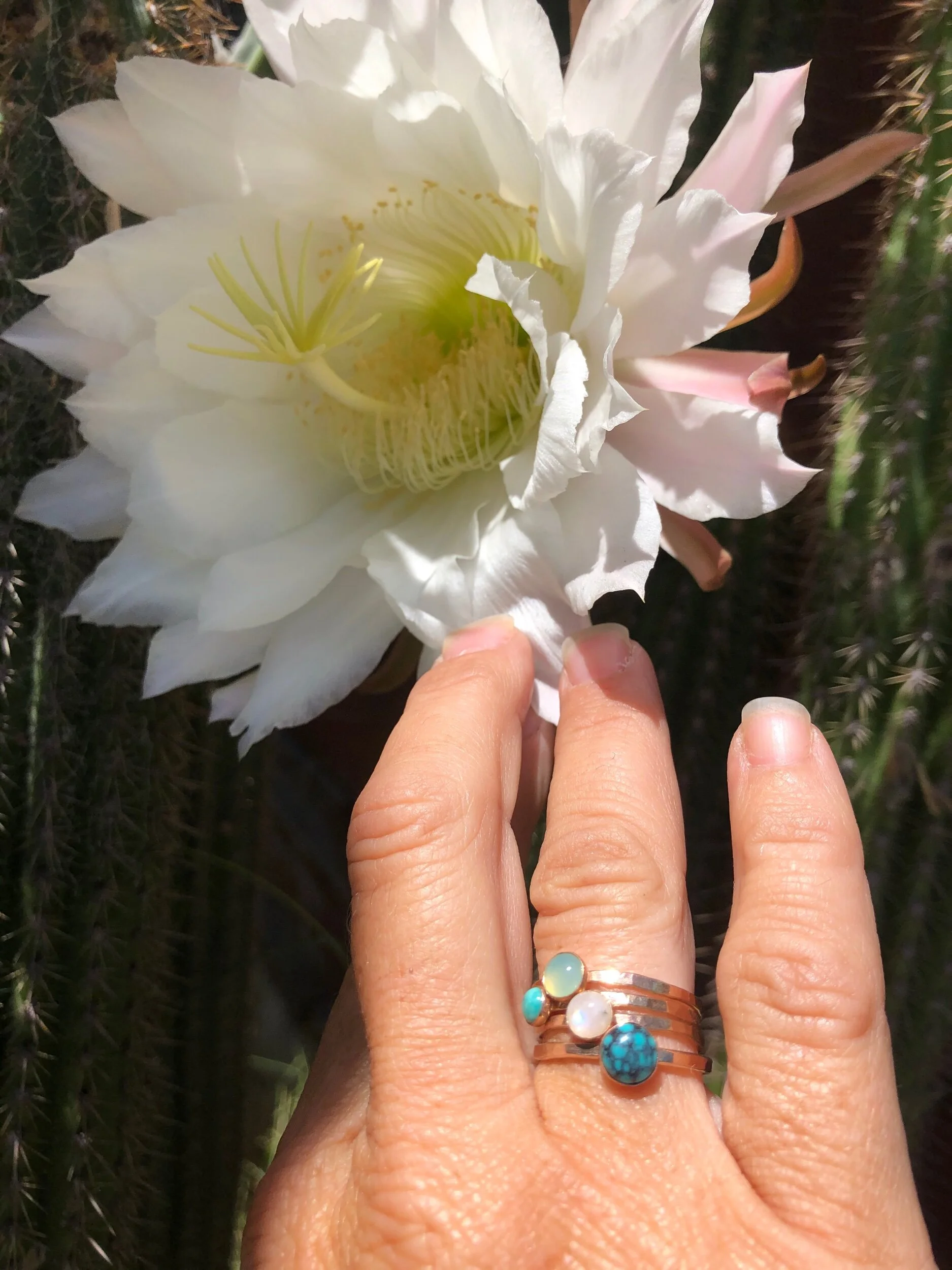 EF7385CF-6576-4E7F-AE97-58BC04B937D7