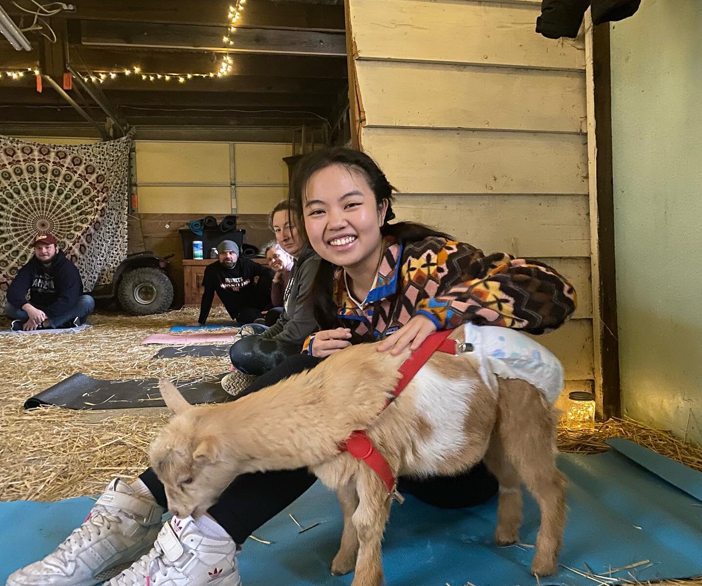 g&Theta;aTs take on goat yoga! 🐐

thank you to Horse and Goat Yoga for having us AND shoutout to our brotherhood chairs @freddylyf06 and @riyamitra_ for planning!