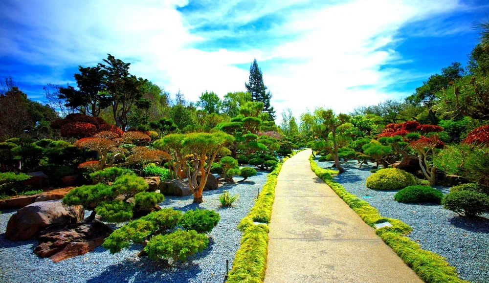 Hayward Japanese Garden