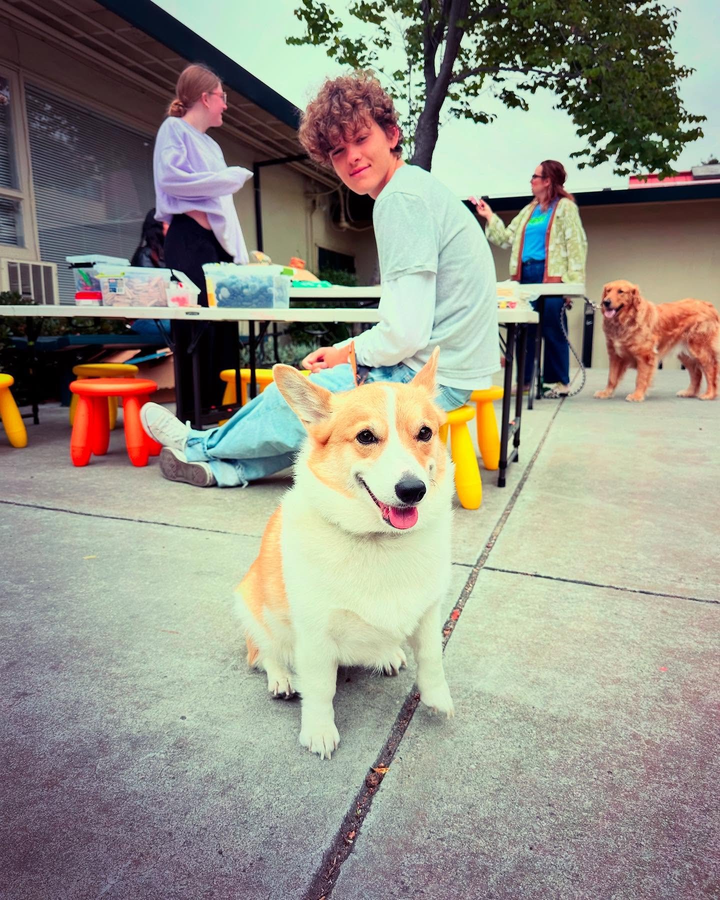 Blessed! Today we celebrated our first Blessing of the Animals, giving thanks for the furry and feathered creatures who are blessings to their humans every day. We were gathered with barking, and called to worship by a stray goat. Eggs were laid, and