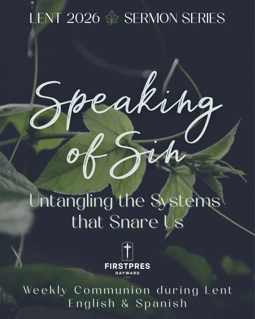 Welcome to a Lent, giving us much to lament. Let&rsquo;s journey, and untangle, together. #lent #beloved