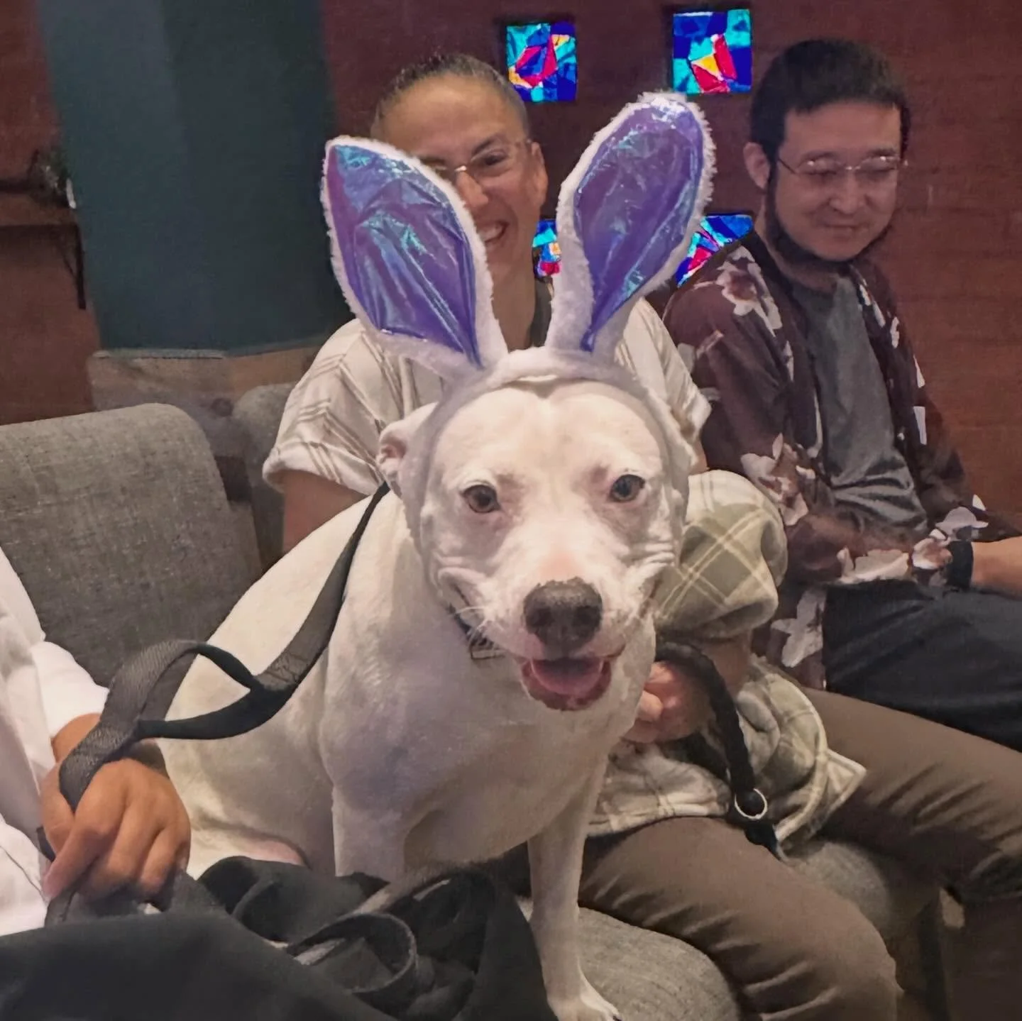 Resurrection is real. It&rsquo;s not always photo-worthy (though, you beautiful people, and pups, are). For this community who doesn&rsquo;t mind the mess, and is willing to do the hard and holy work, we&rsquo;re giving all the thanks. See you in the