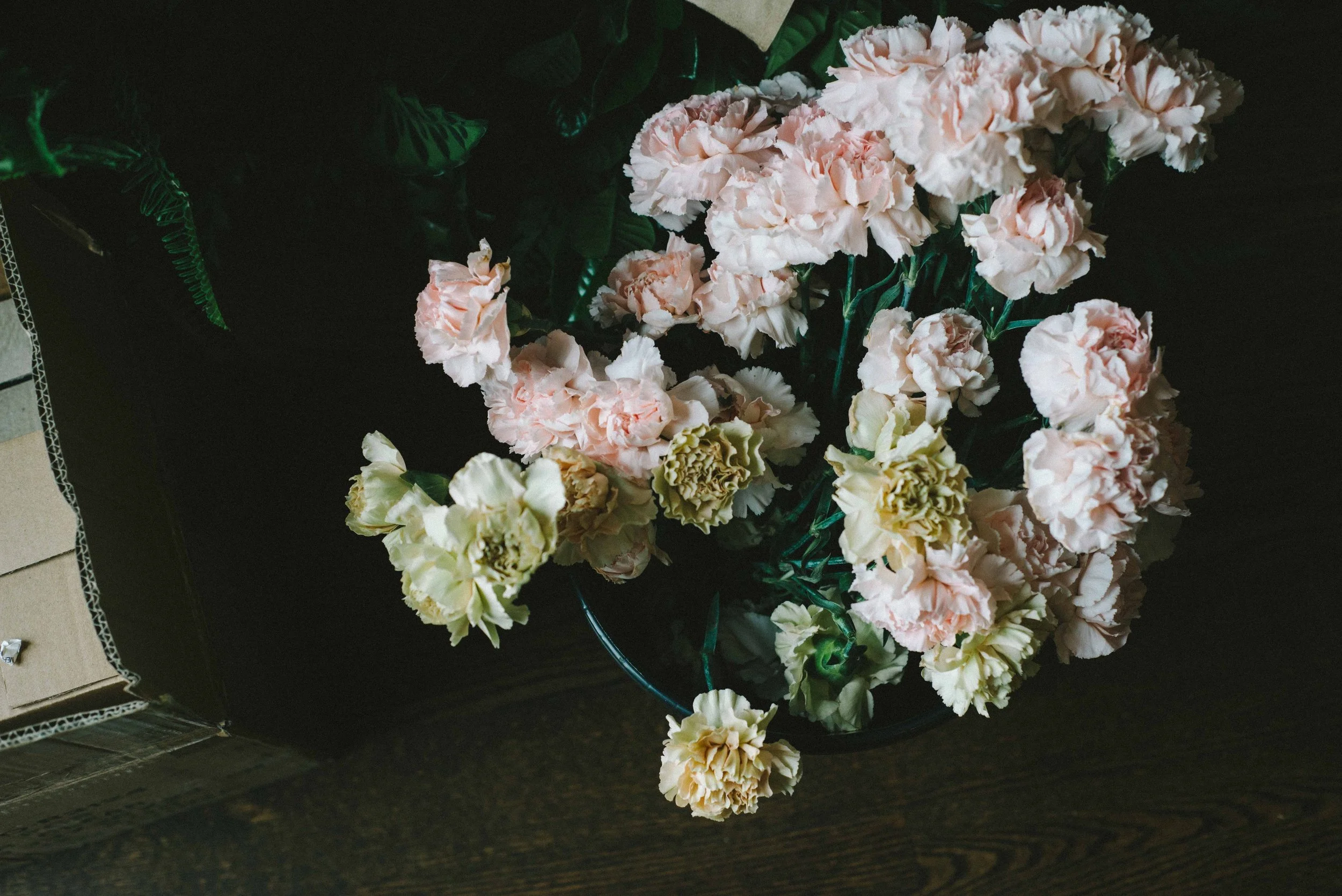 Taffy Floral-0017.jpg