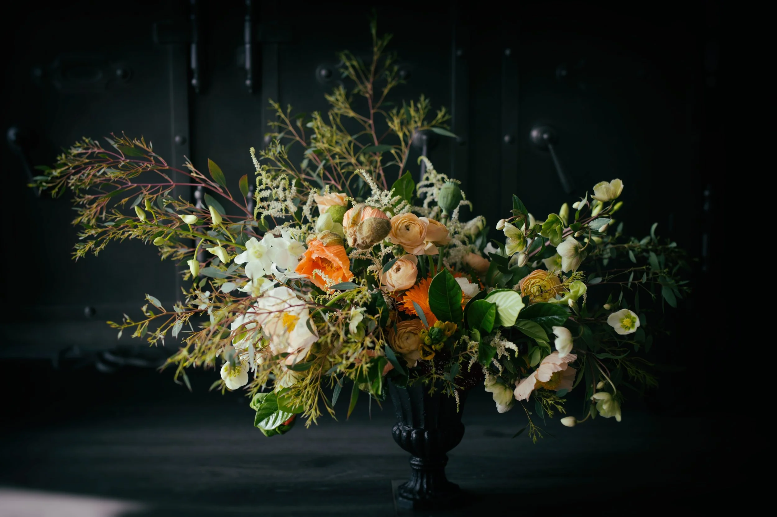 FebruaryPortfolio-646.jpg