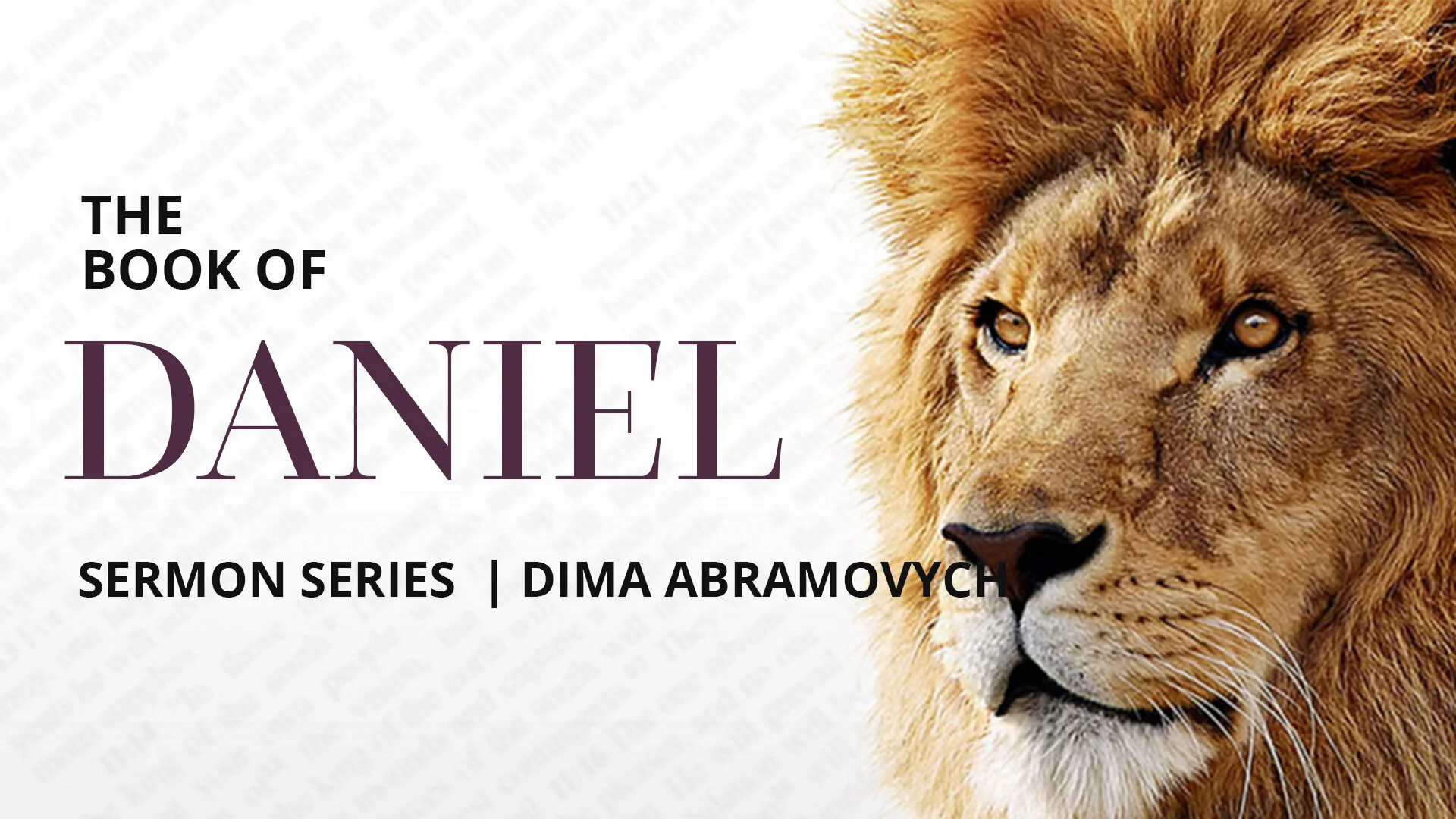 Daniel-template.jpg