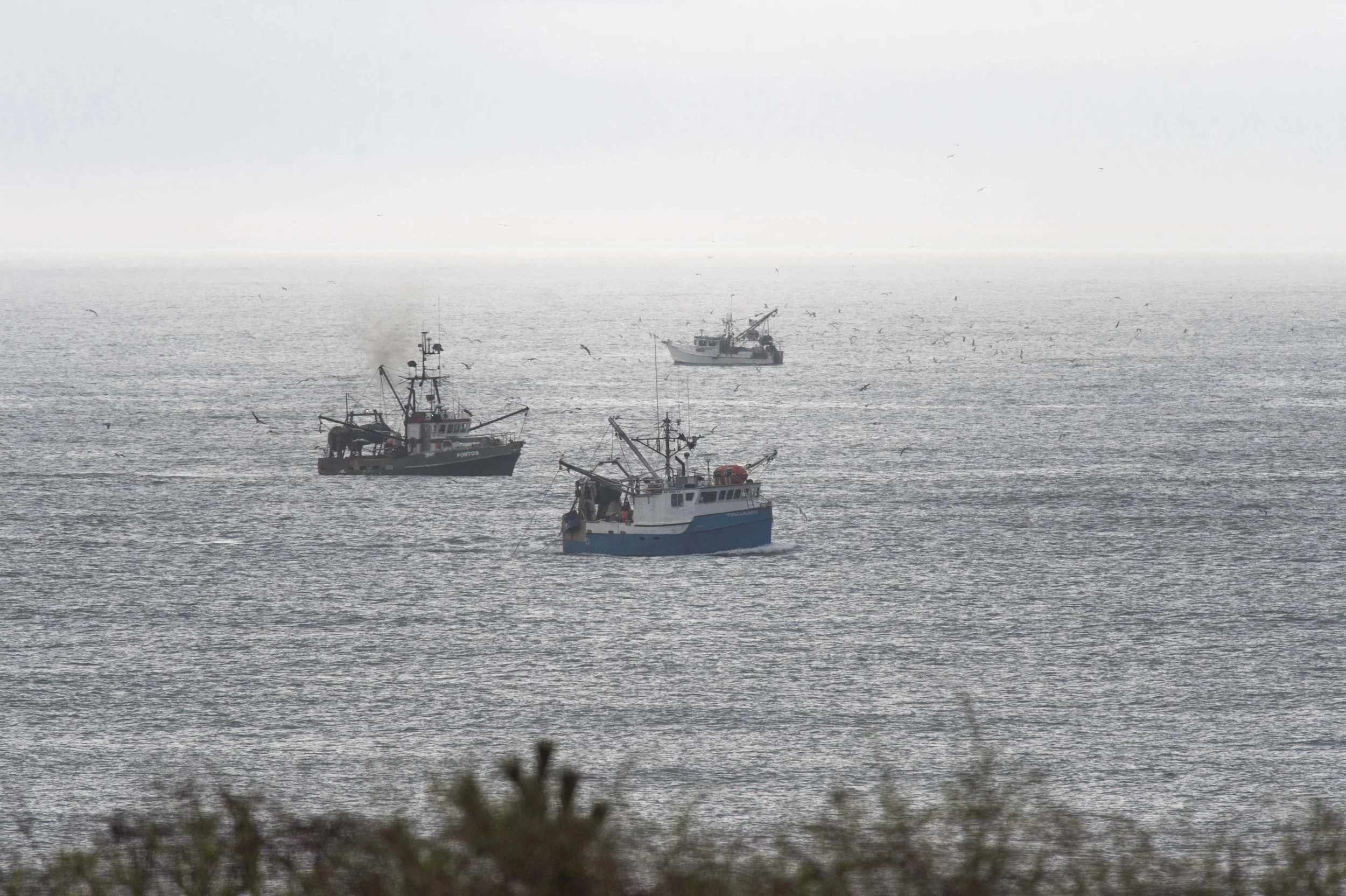 Montauk Traffic