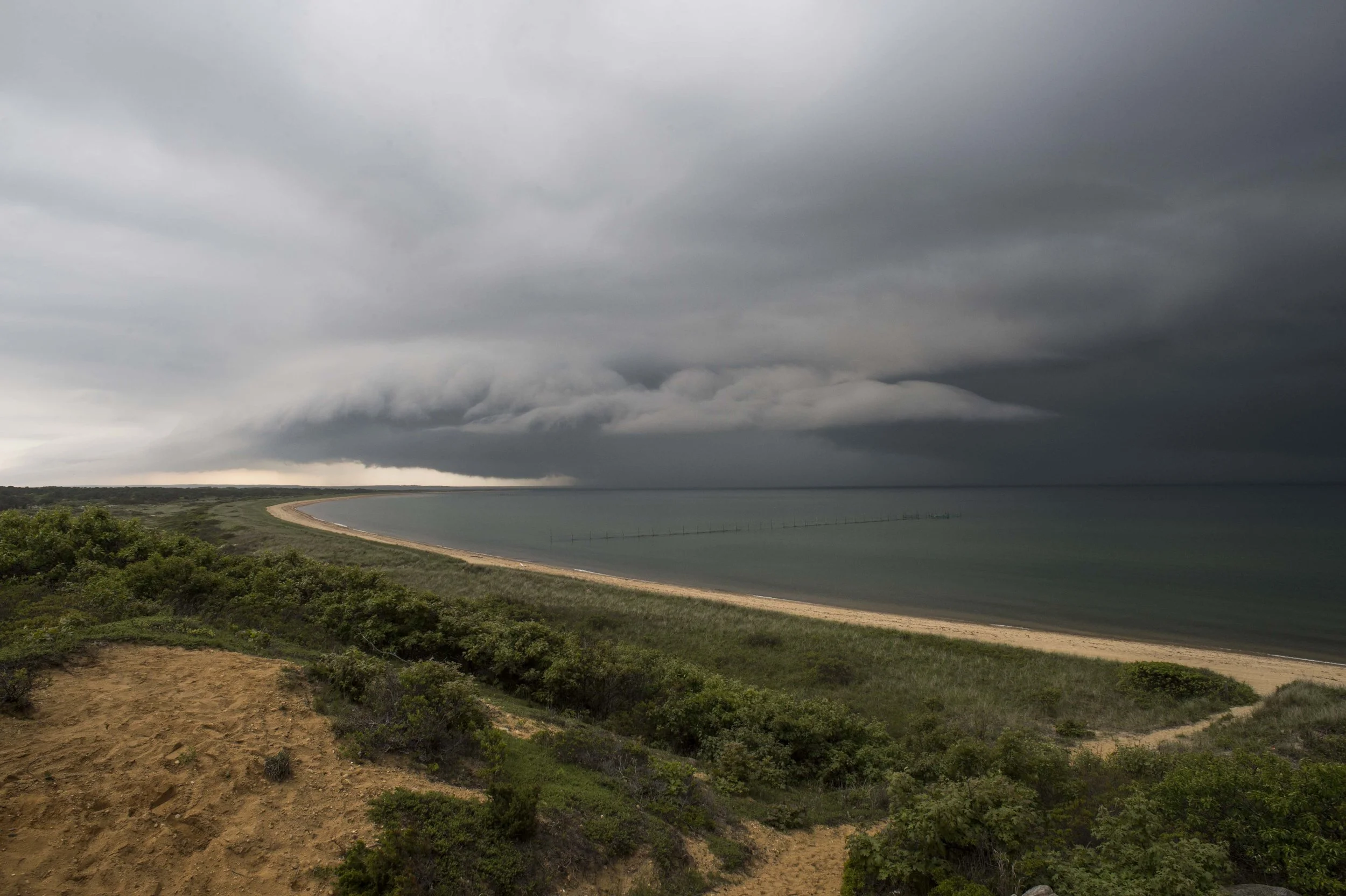 Squall