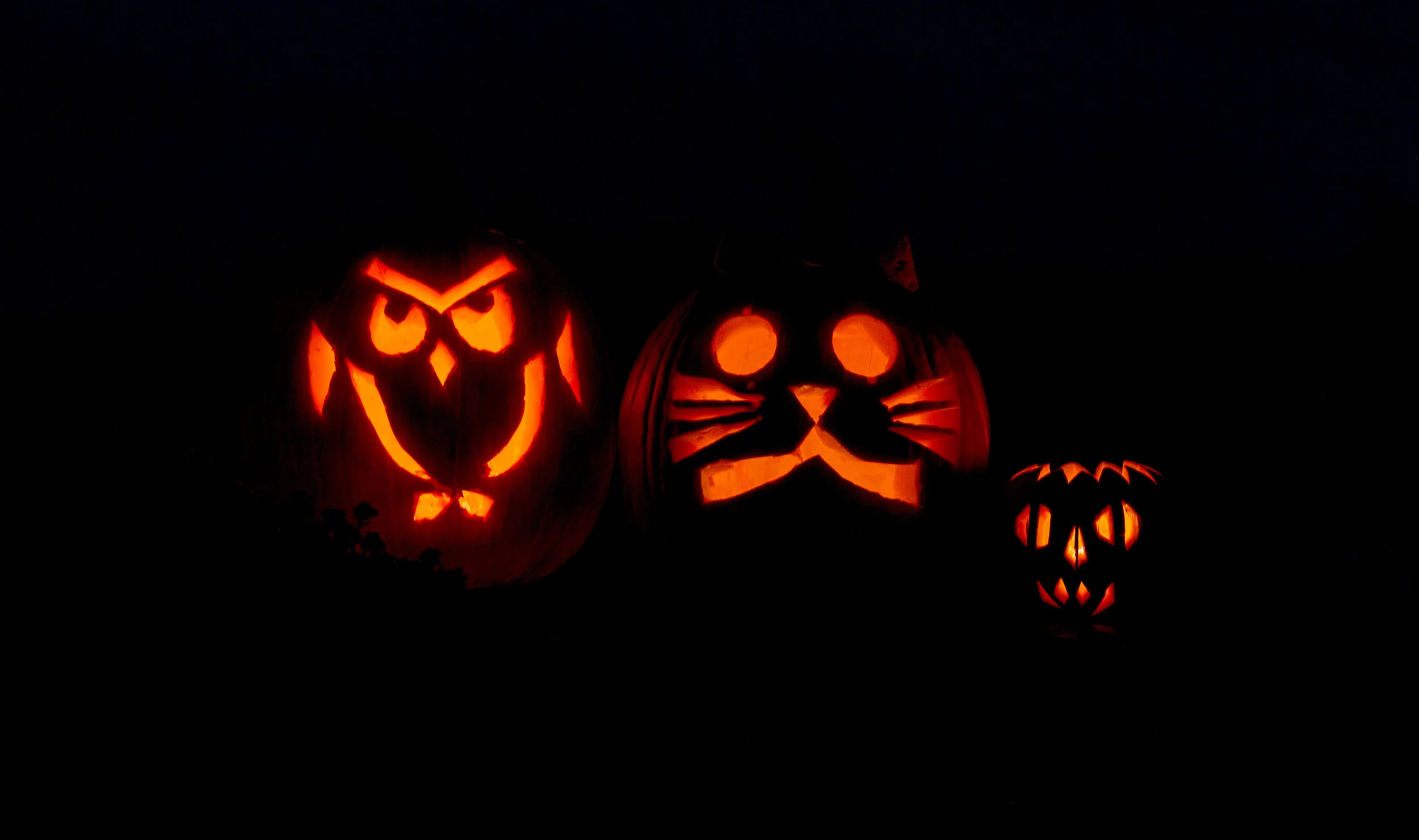 Three Pumpkins Sitting on a Stoop
