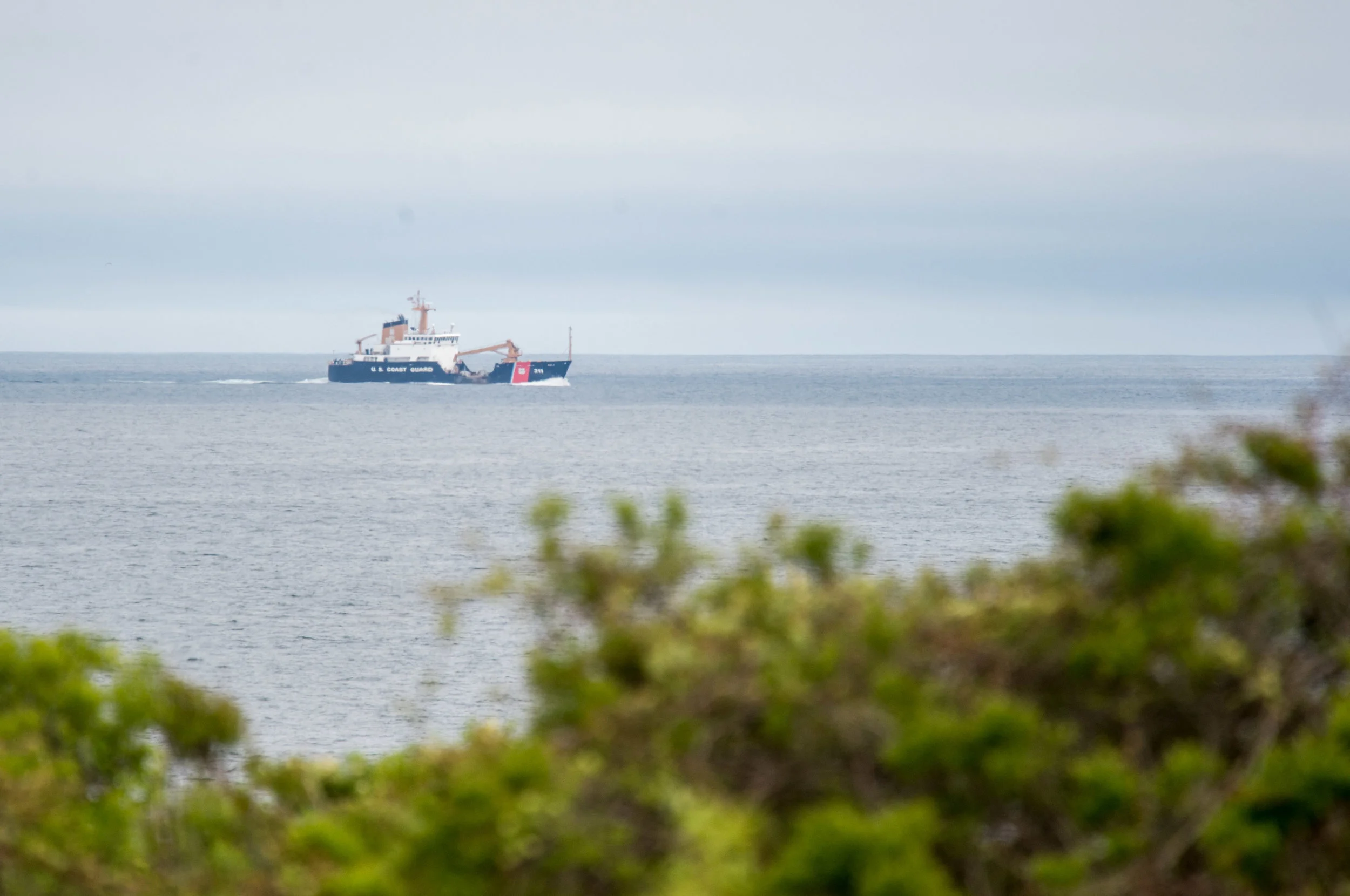 COASTIES