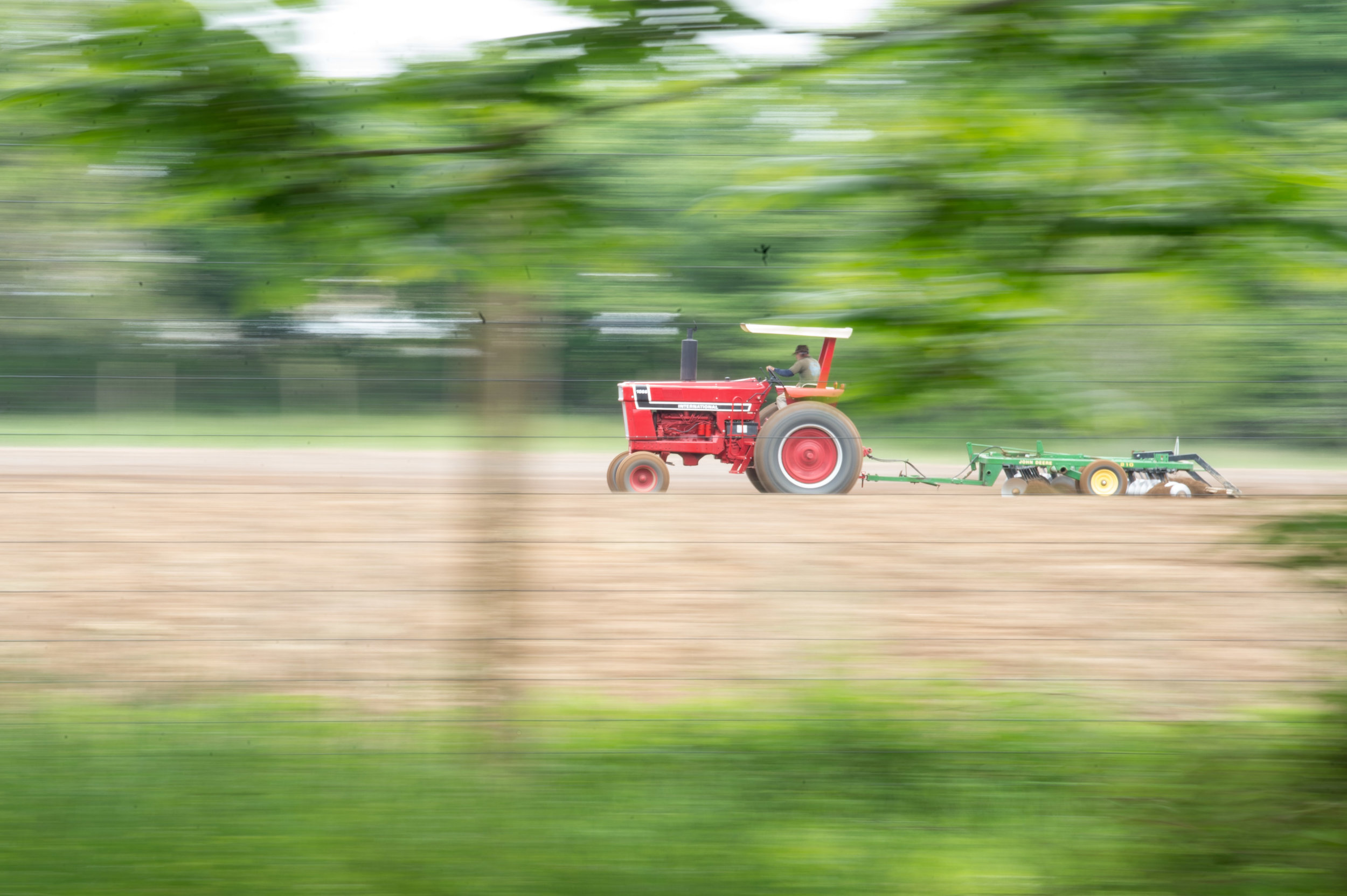 LOCAL FARMING