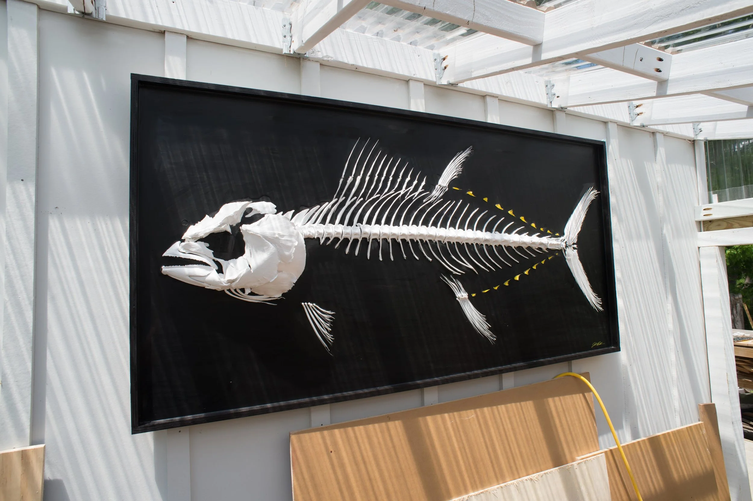 GIANT BLUEFIN TUNA RECONSTRUCTION