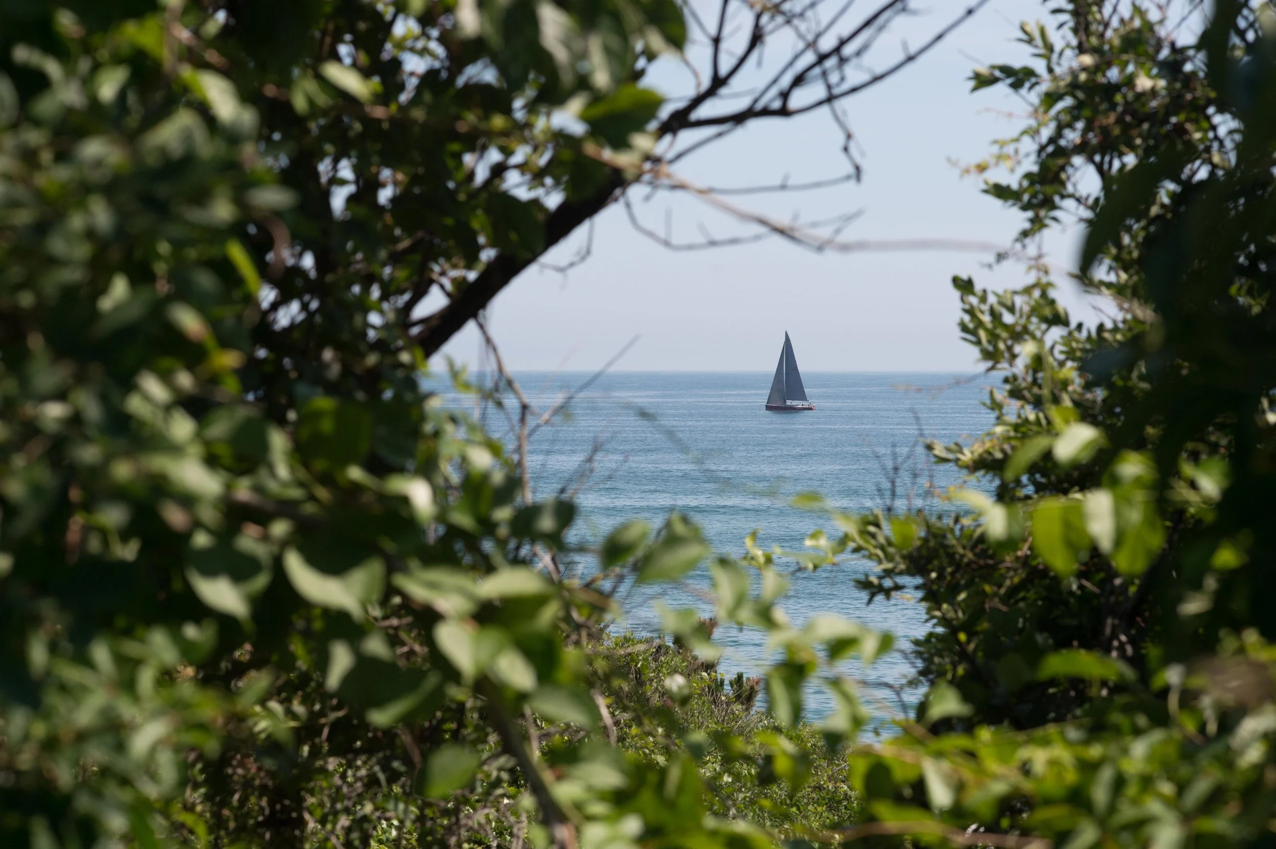 LONG ISLAND REGATTA