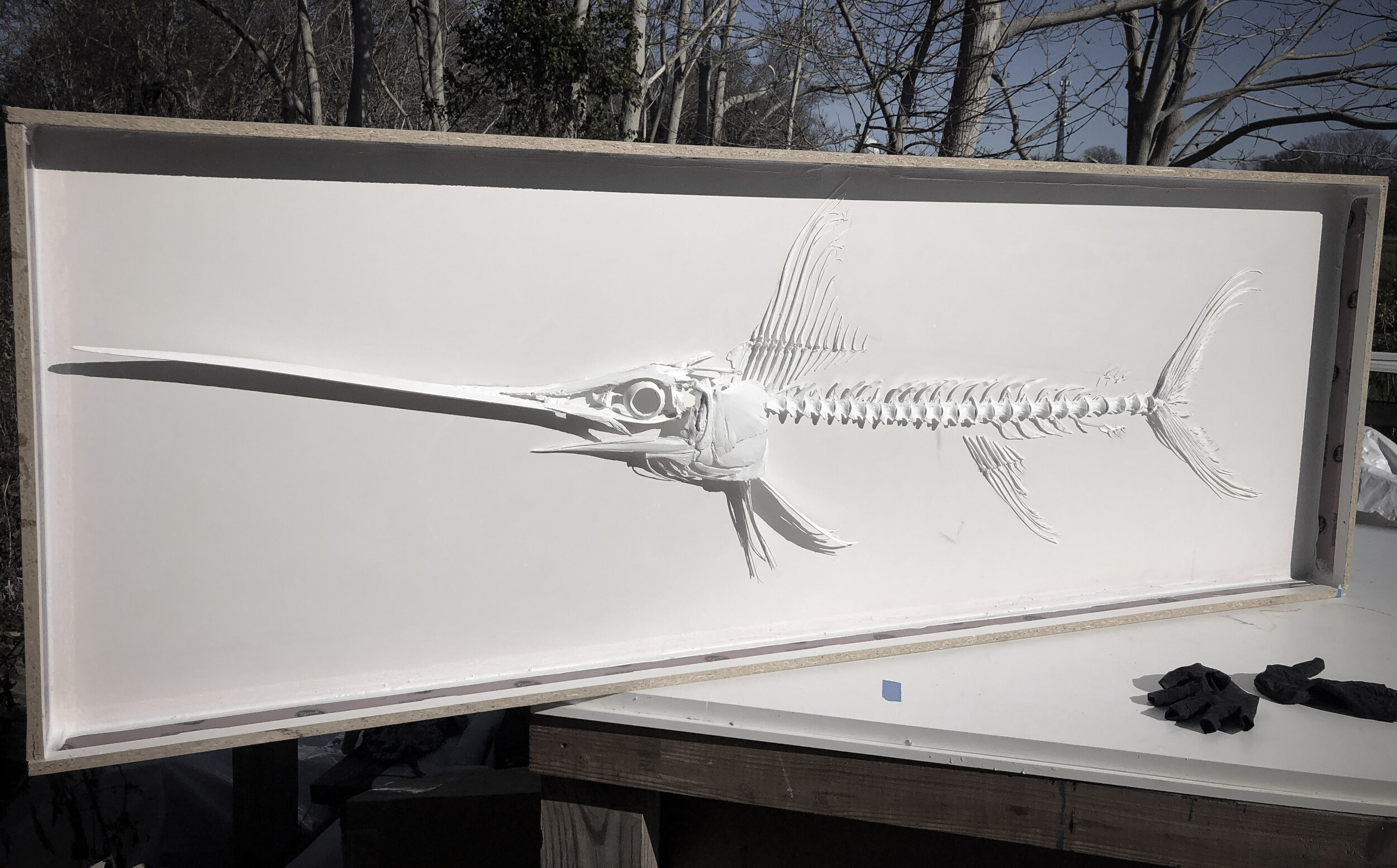 Fish Skeleton Artwork — 41 North Montauk
