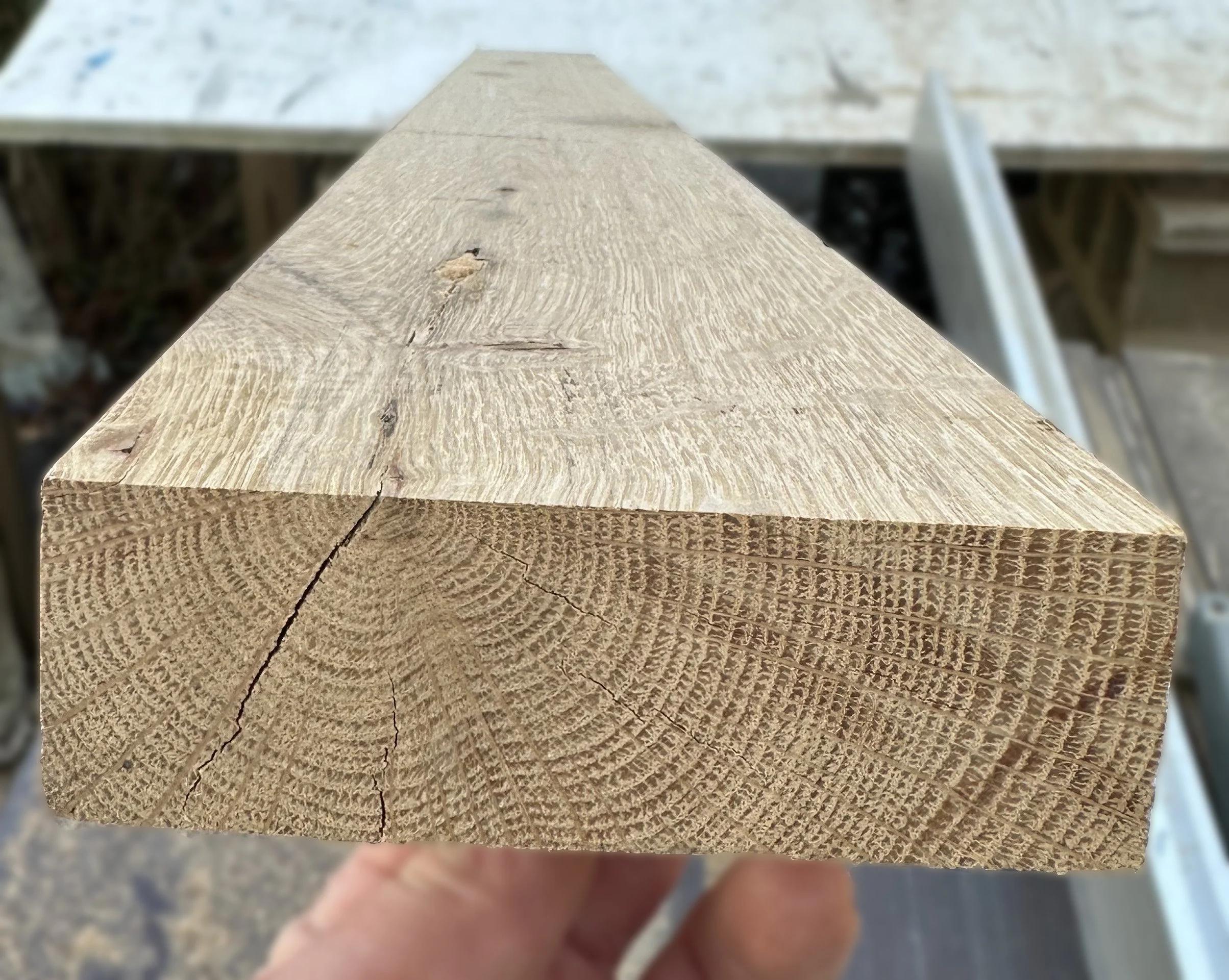 whiteoak.jpg