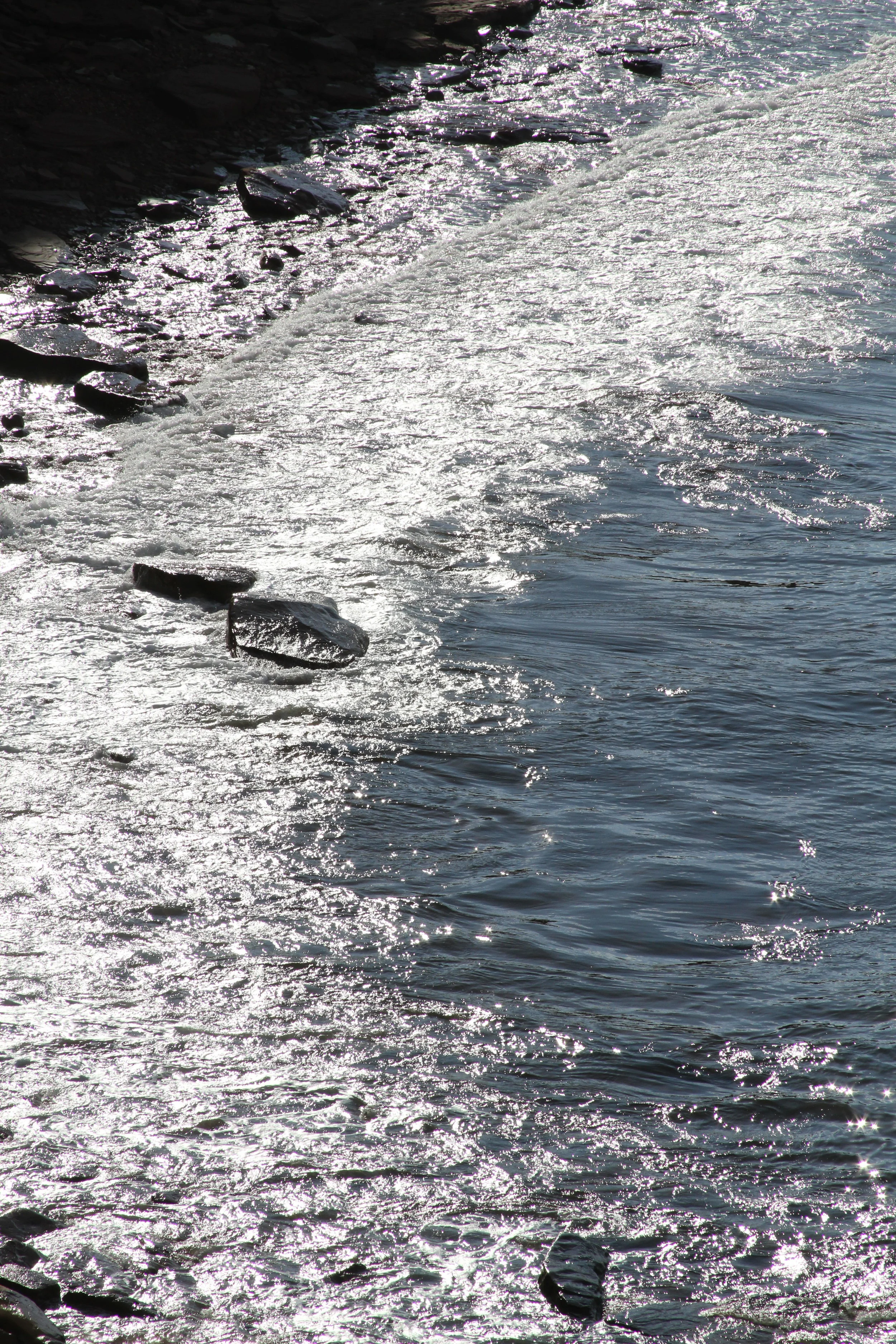 IMG_2615.JPG