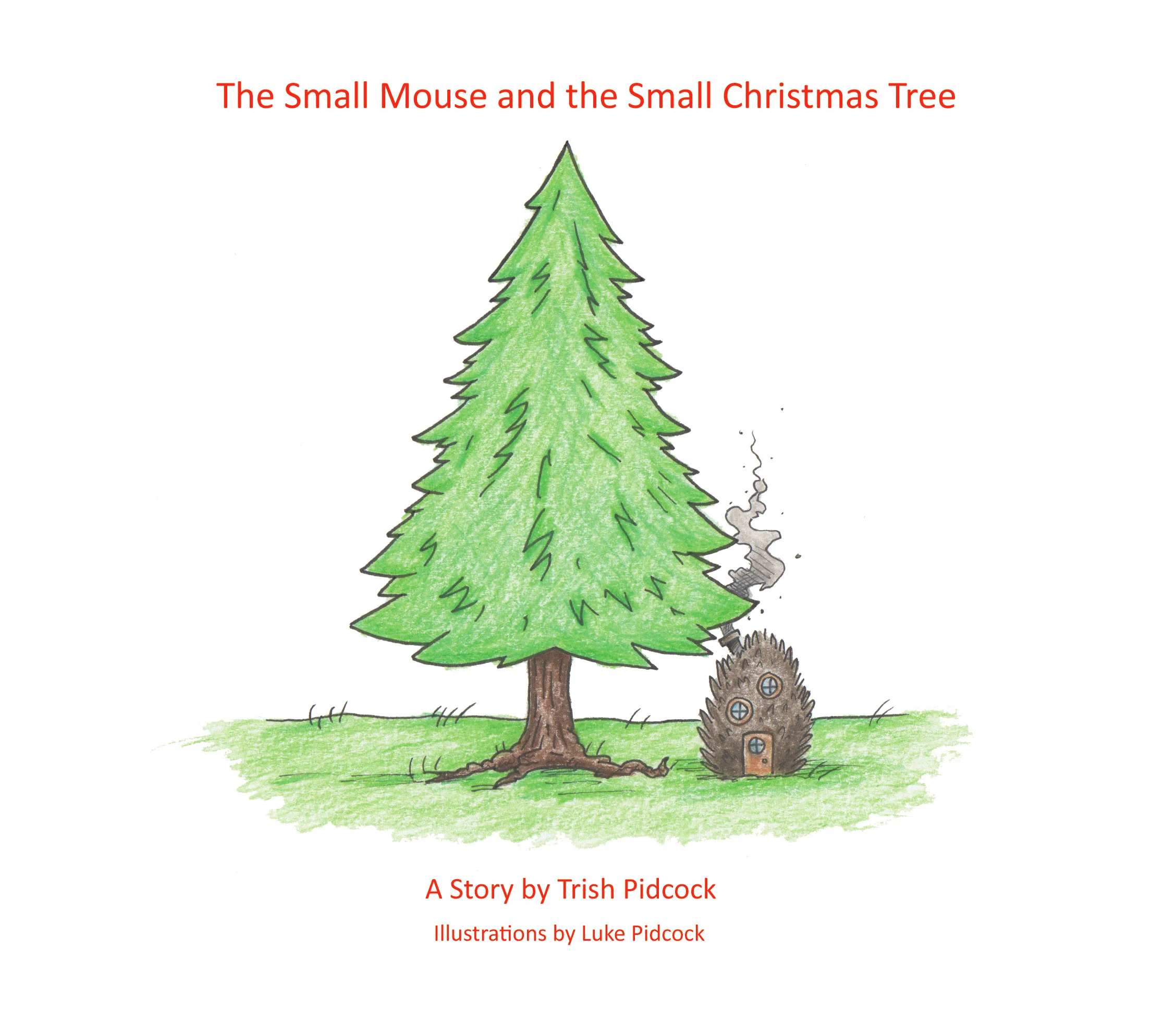 Children's book I helped produced and illustrated for with my mother.