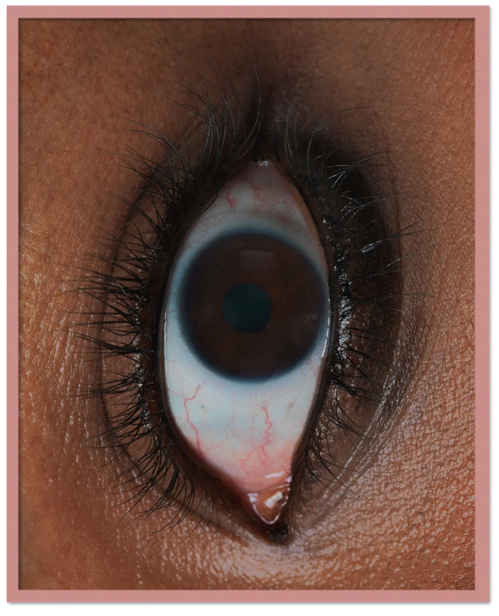 "Eye (Brown/Brown)" 50"x40" C-Print in artist's frame, 2014