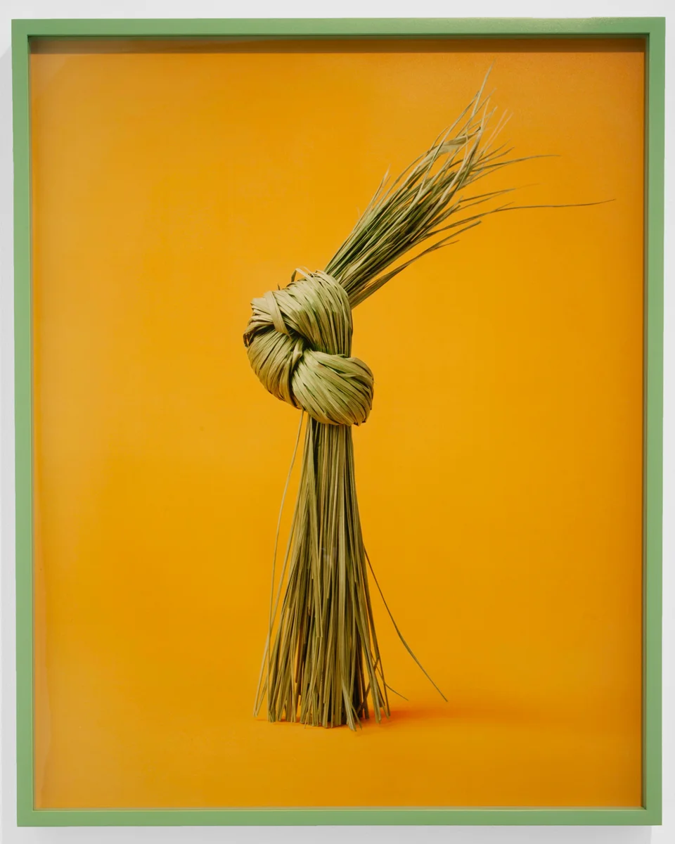 "Kusha", 20" x 16" C-Print in artist's frame, 2012